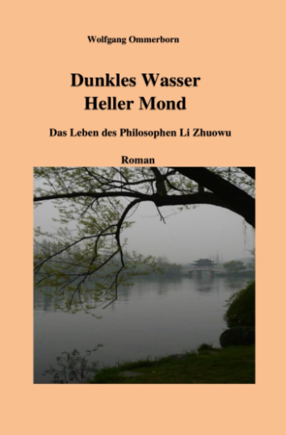 Dunkles Wasser – Heller Mond: Das Leben des Philosophen Li Zhuowu book