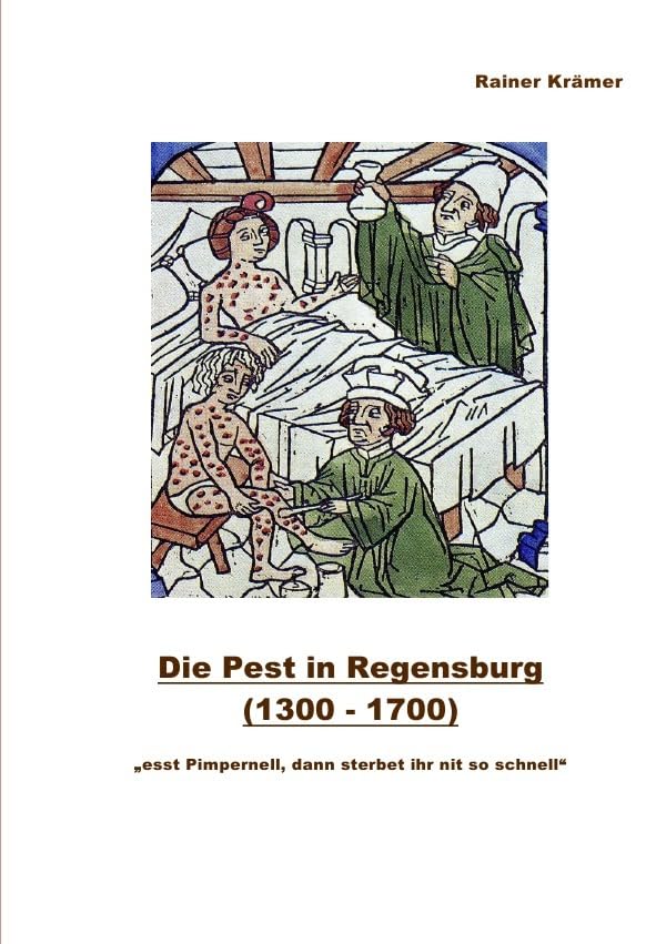 Die Pest in Regensburg (1300 - 1700): "esst Pimpernell, dann sterbet ihr nit so schnell" Politics & History