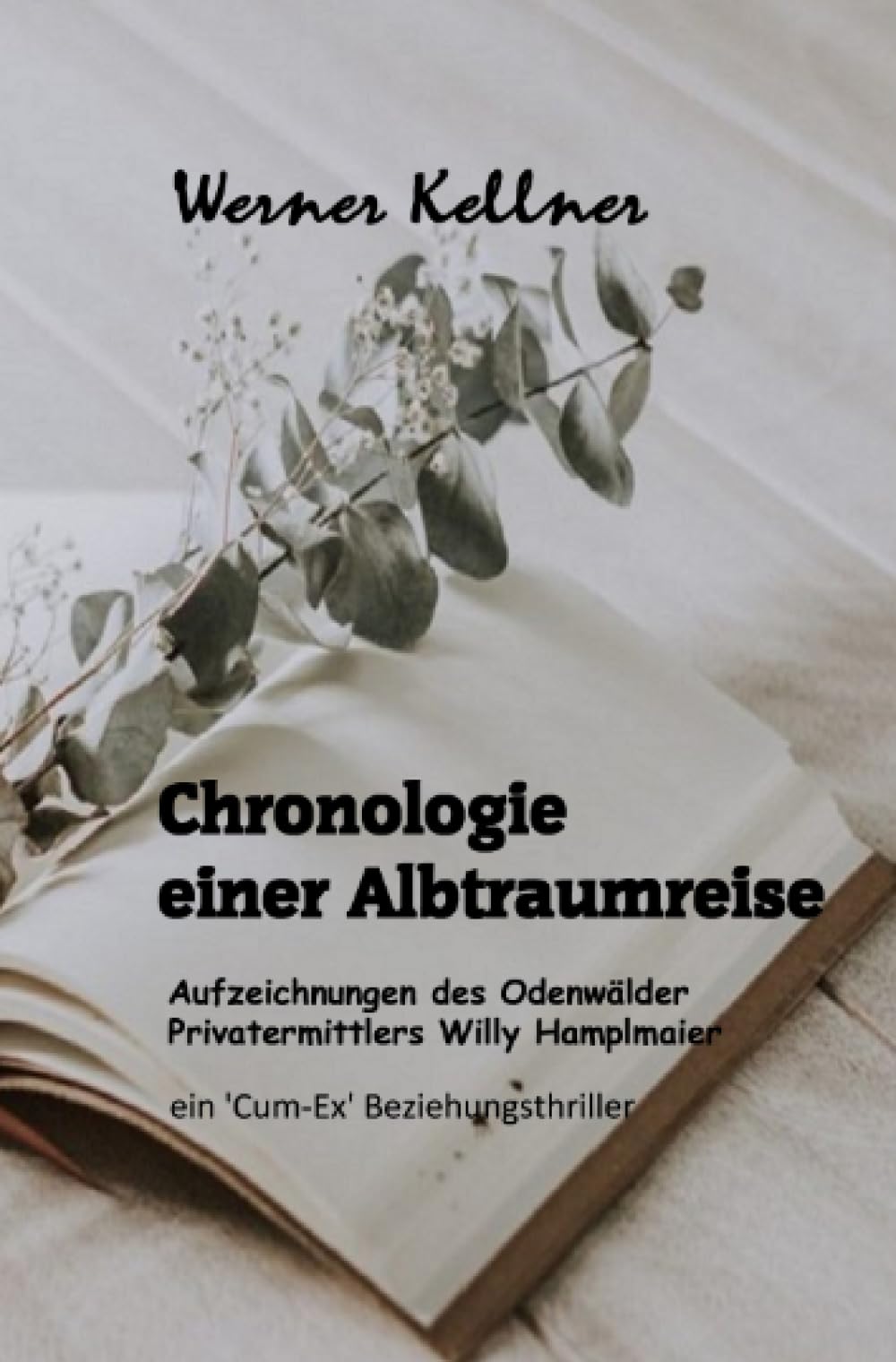 Chronologie einer Albtraumreise: Aus den Aufzeichnungen des Odenwälder Privatermittlers Willy Hamplmaier (Cum-Ex Beziehungsthriller) Action & Adventure