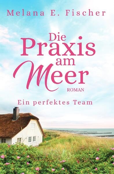 Die Praxis am Meer auf Föhr / Die Praxis am Meer Ein perfektes Team: Föhr-Roman Contemporary literature Books