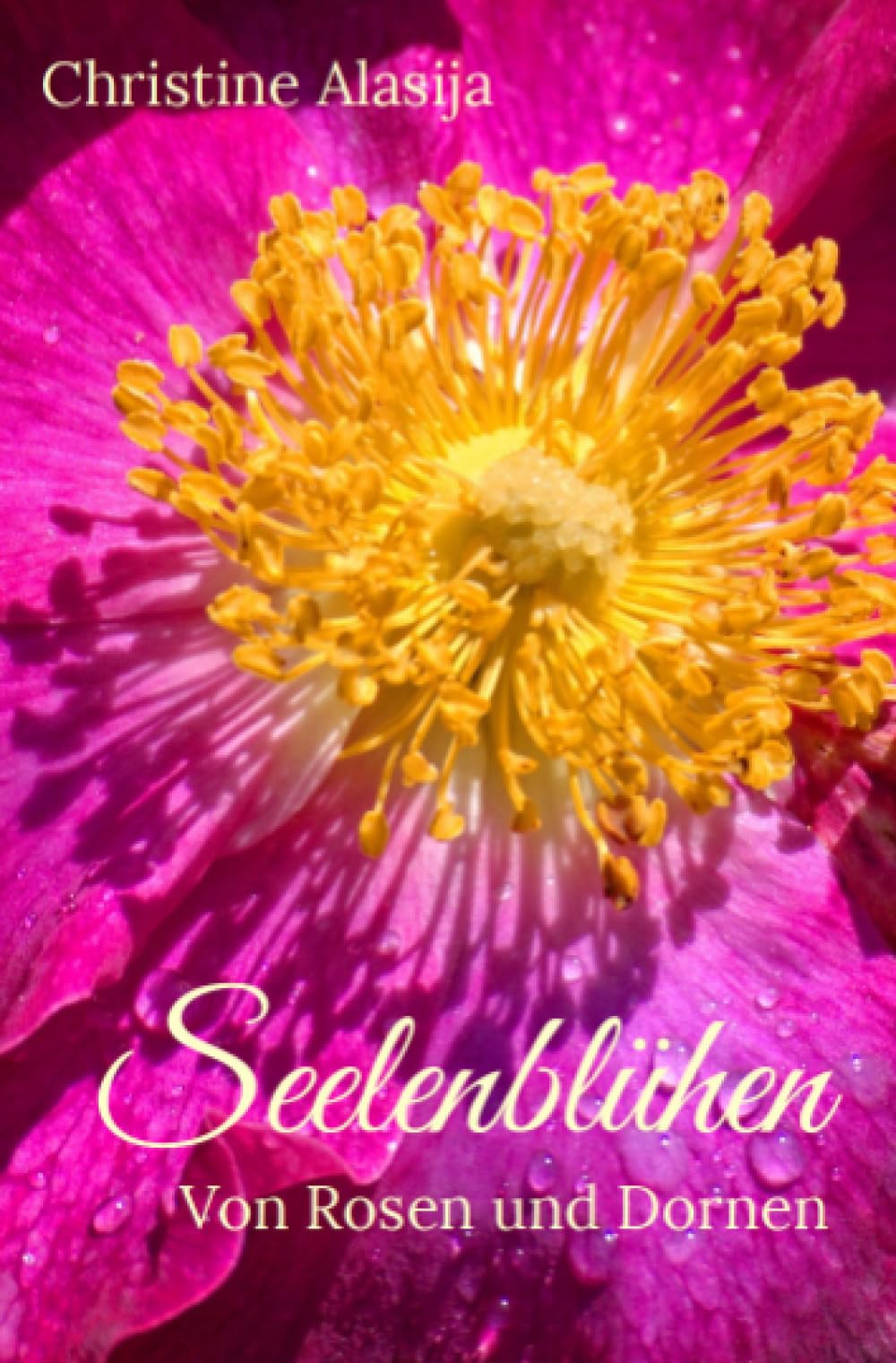 Seelenblühen: Von Rosen und Dornen Contemporary literature