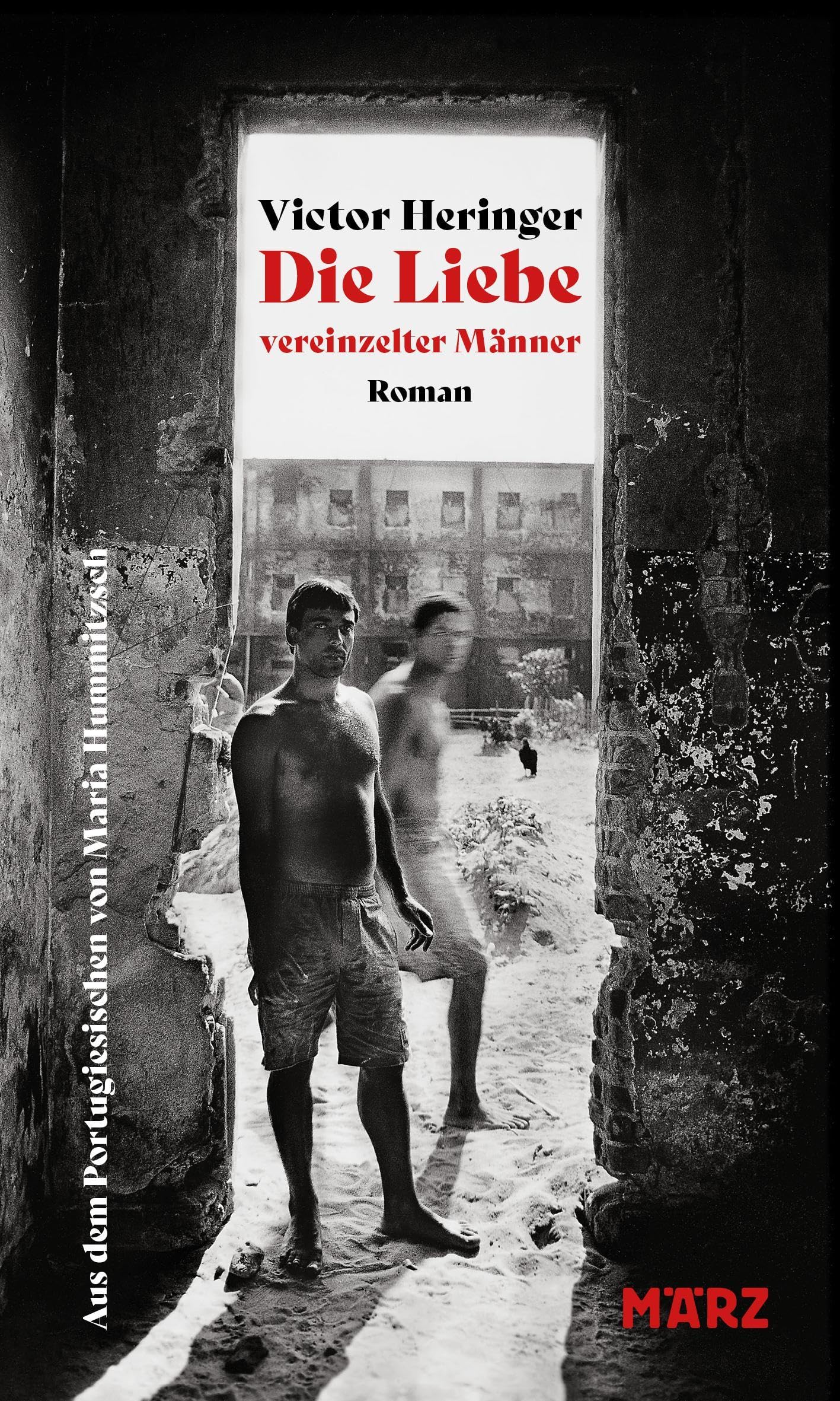 Die Liebe vereinzelter Männer Contemporary literature