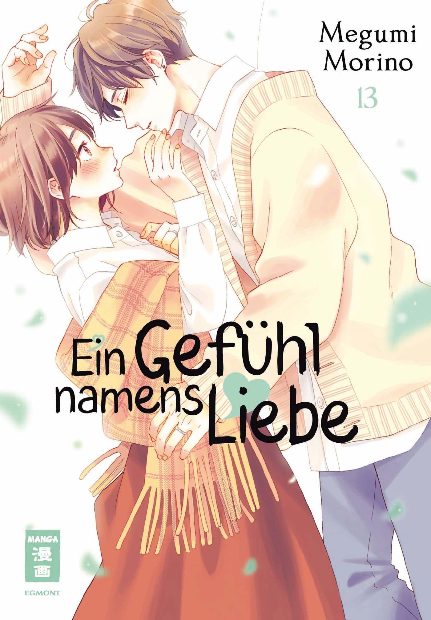 Ein Gefühl namens Liebe 13 Manga