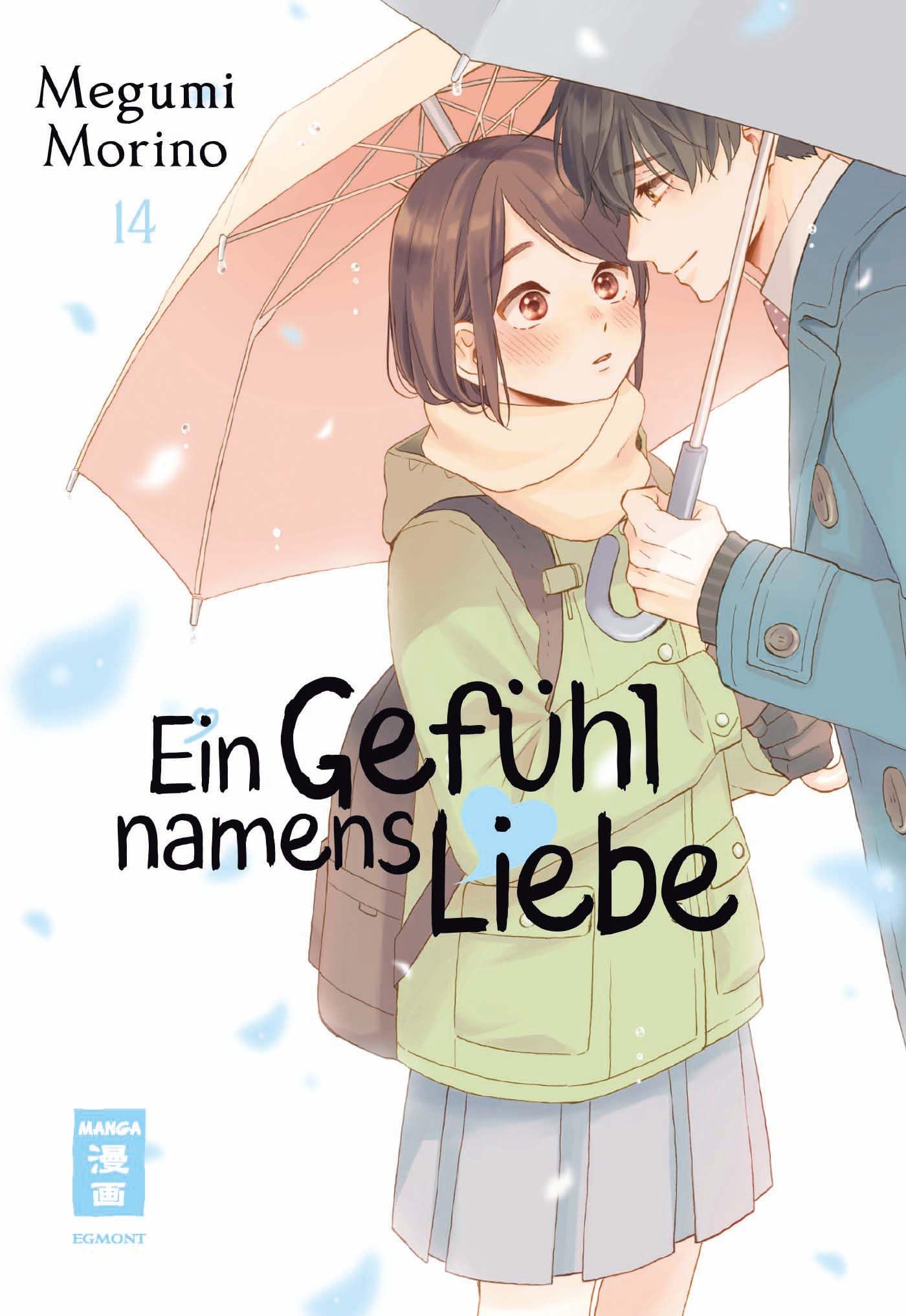 Ein Gefühl namens Liebe 14 Manga