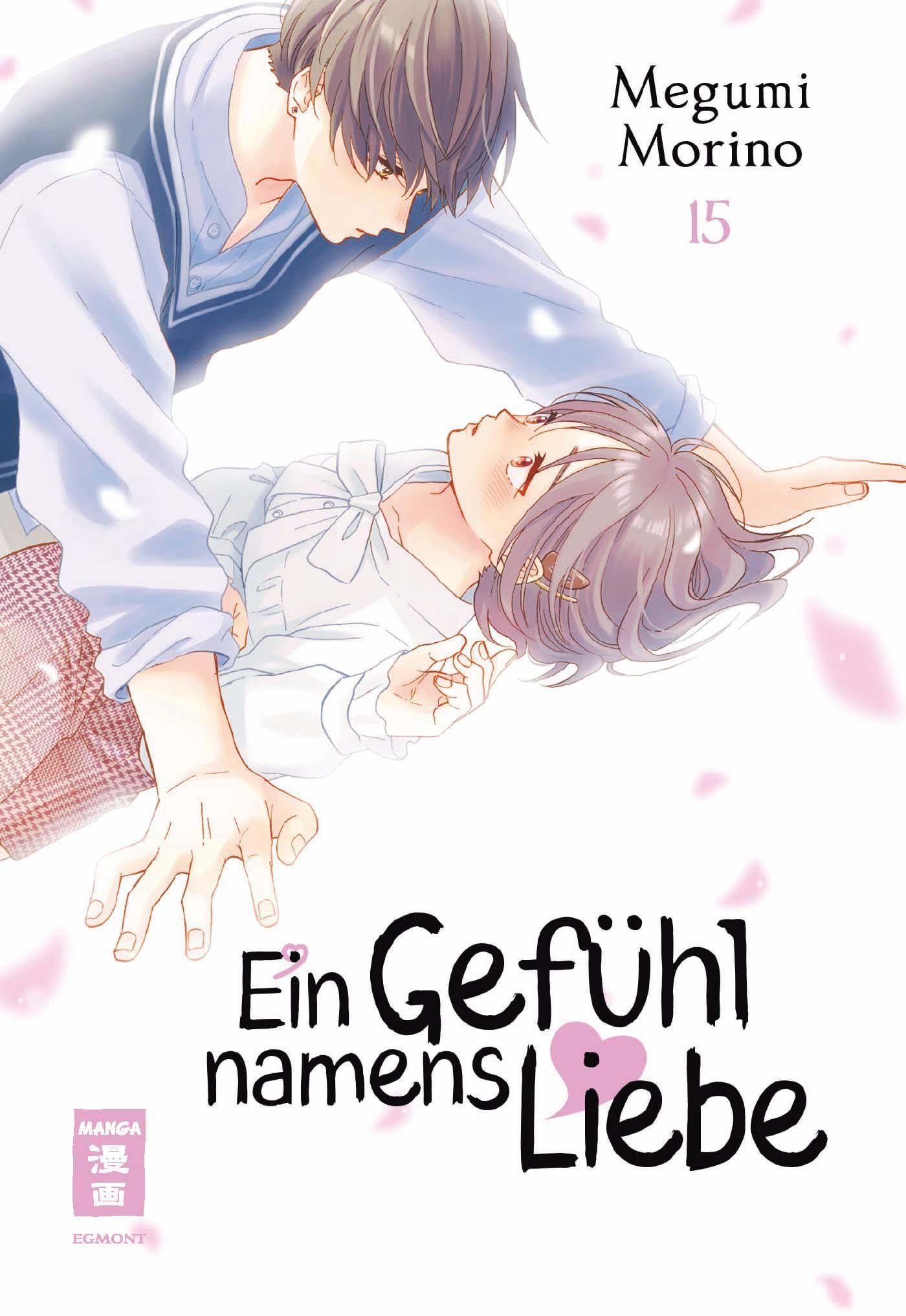 Ein Gefühl namens Liebe 15 Manga