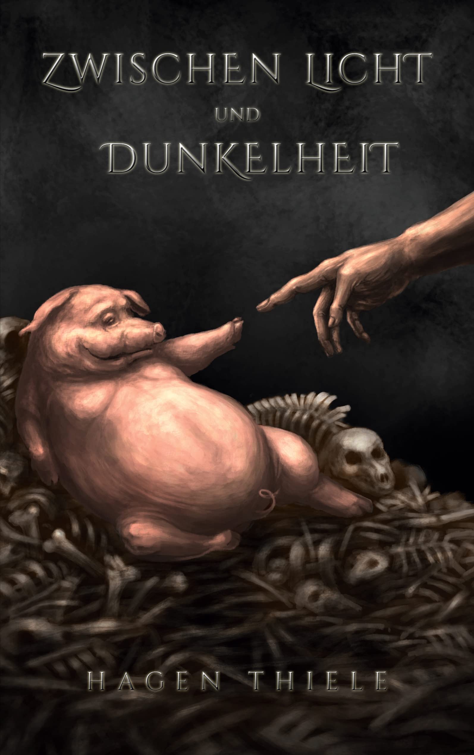 Zwischen Licht und Dunkelheit Contemporary literature