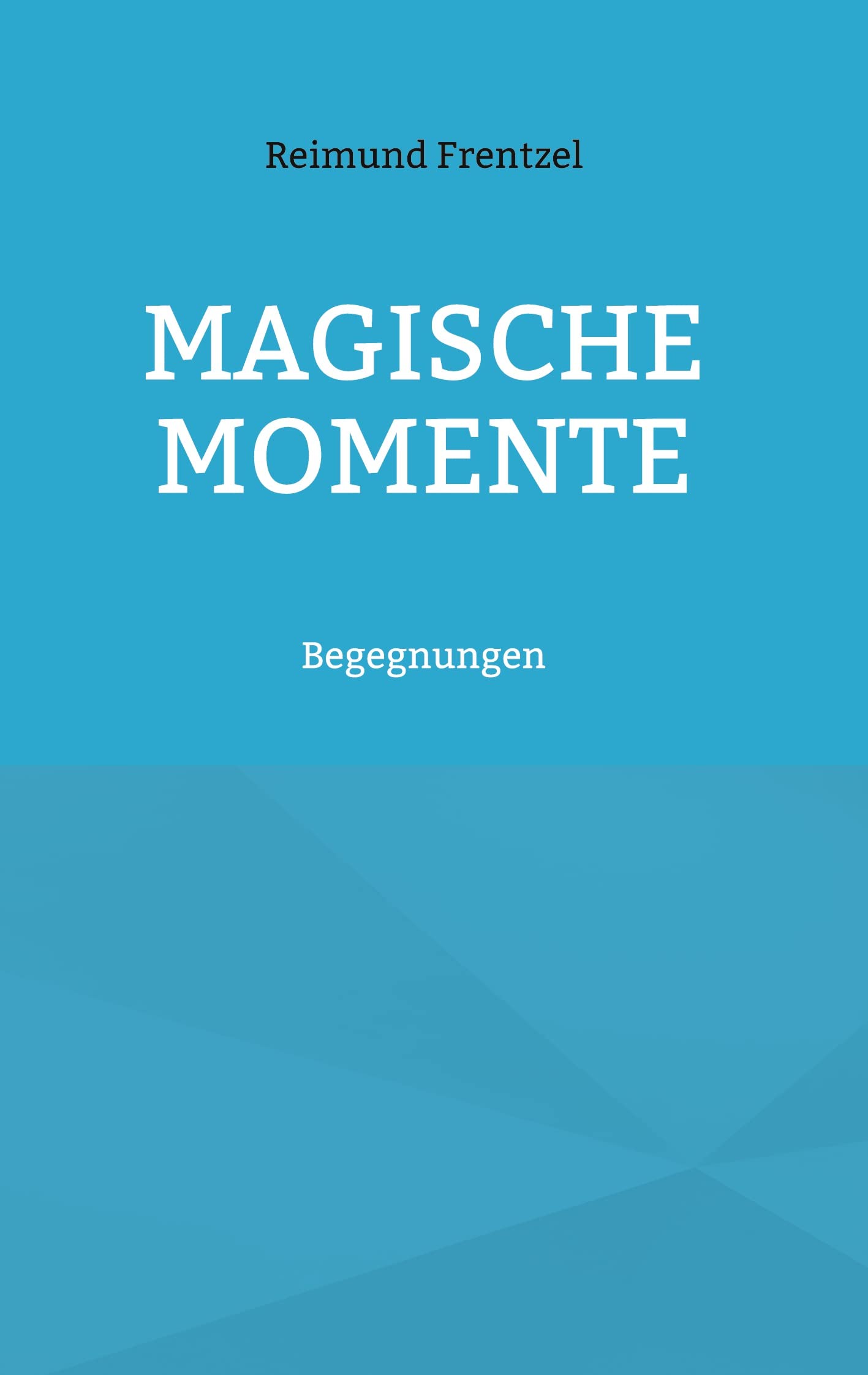 Magische Momente: Begegnungen (Edition PEREGINI) Contemporary literature