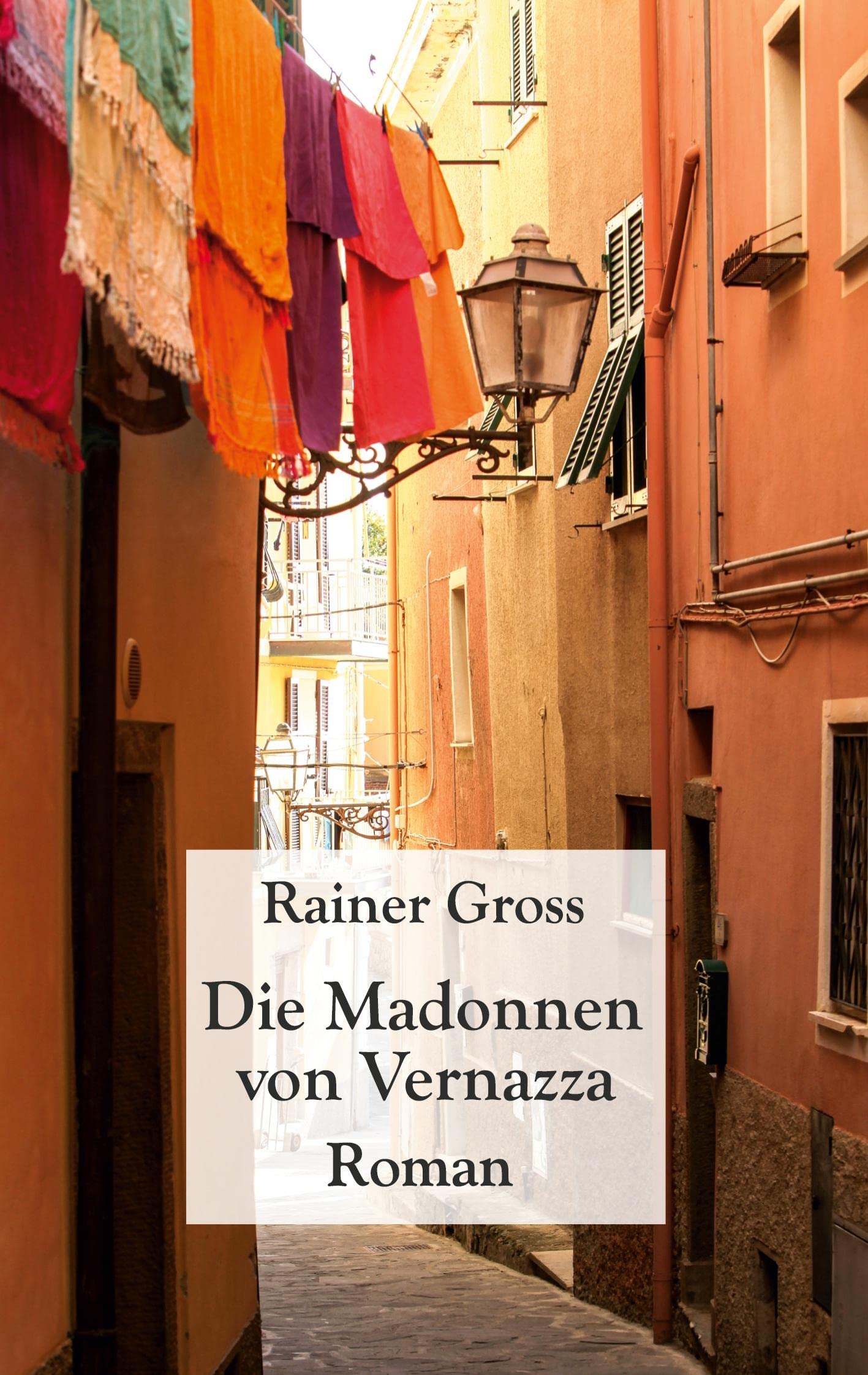 Die Madonnen von Vernazza: Roman Contemporary literature