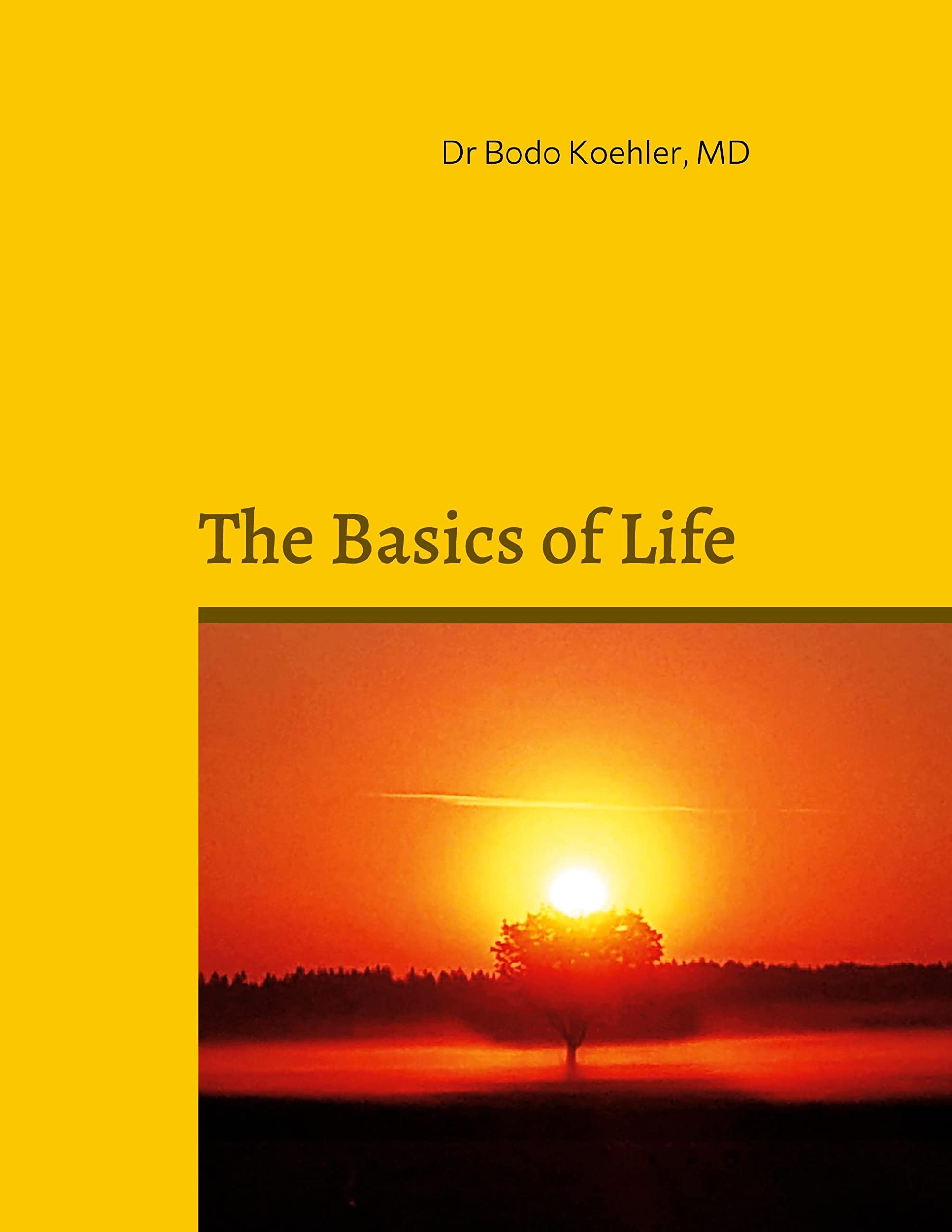 The Basics of Life: Metabolism and Nutrition Medicine