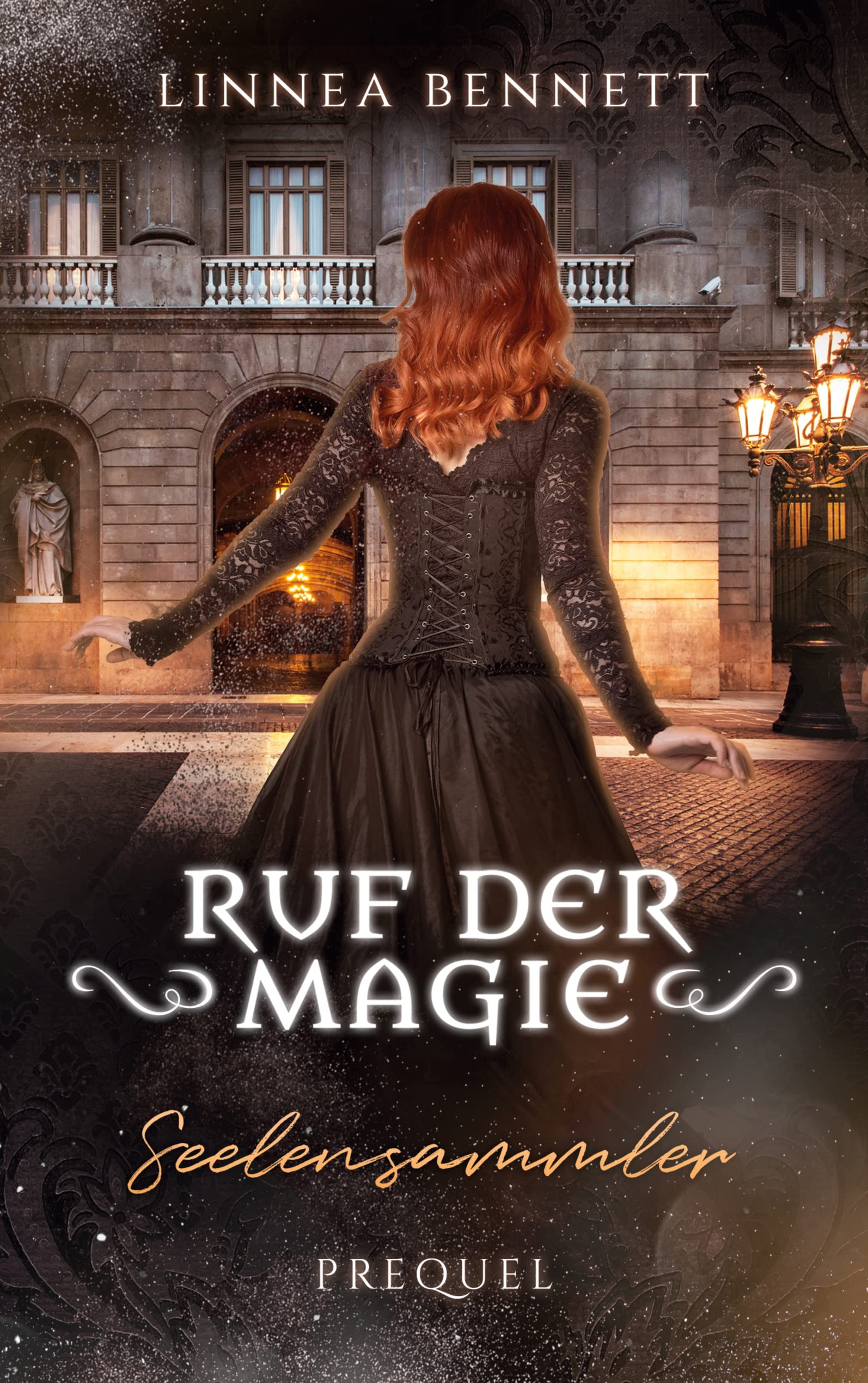 Seelensammler: Ruf der Magie book