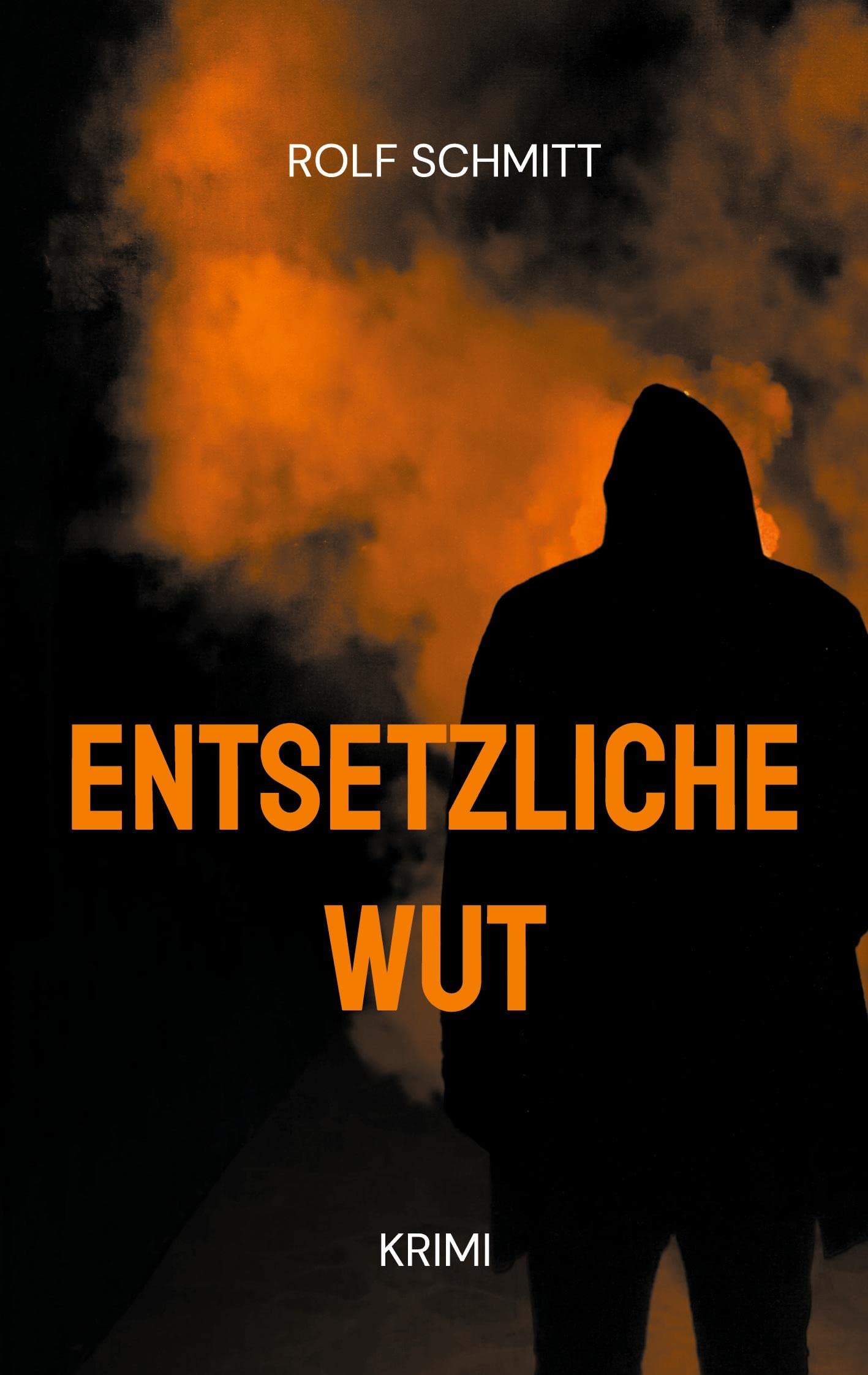 Entsetzliche Wut Contemporary literature Books