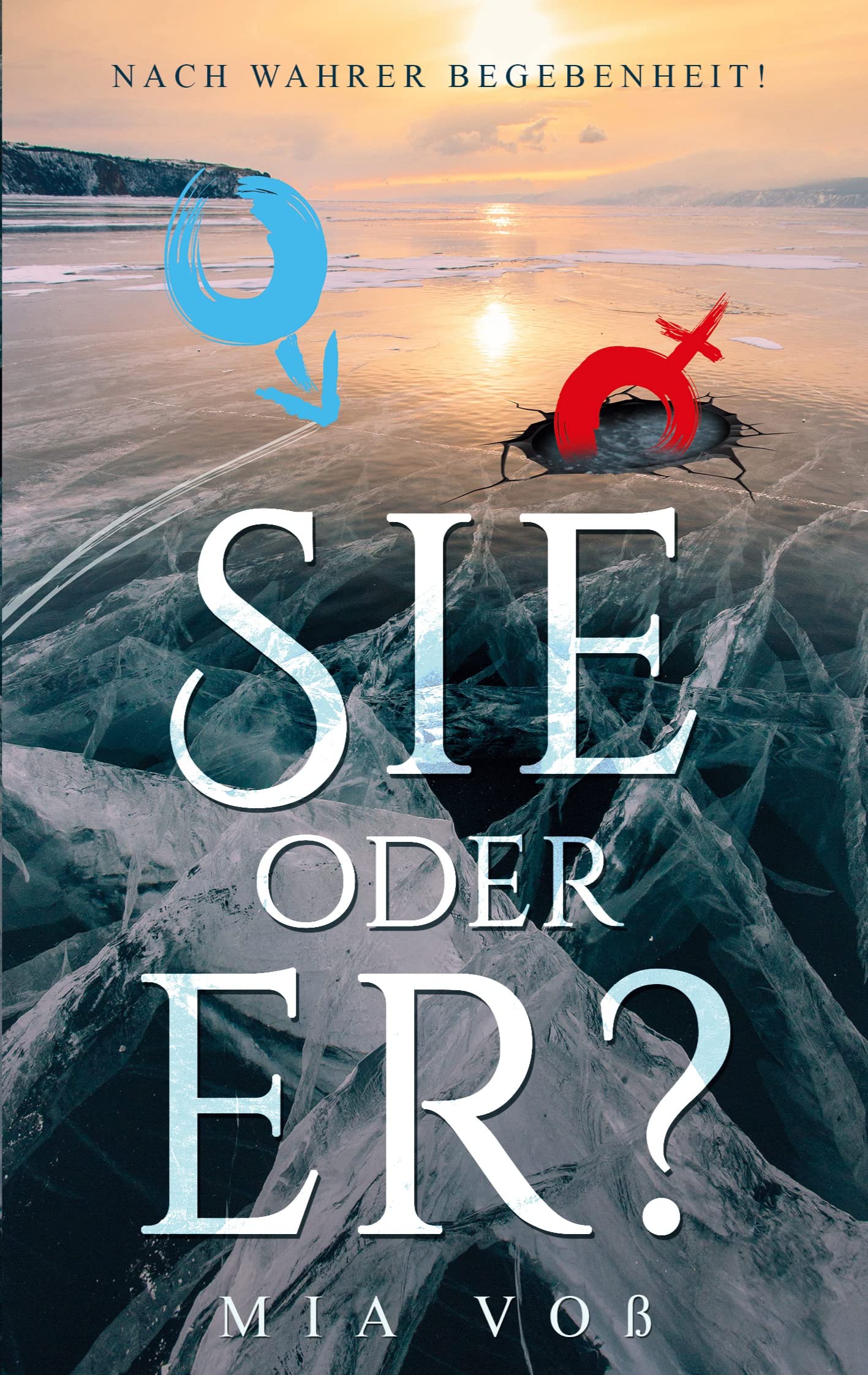 Sie oder er? (Gute Tochter, schlechter Sohn, Band 3) Contemporary literature