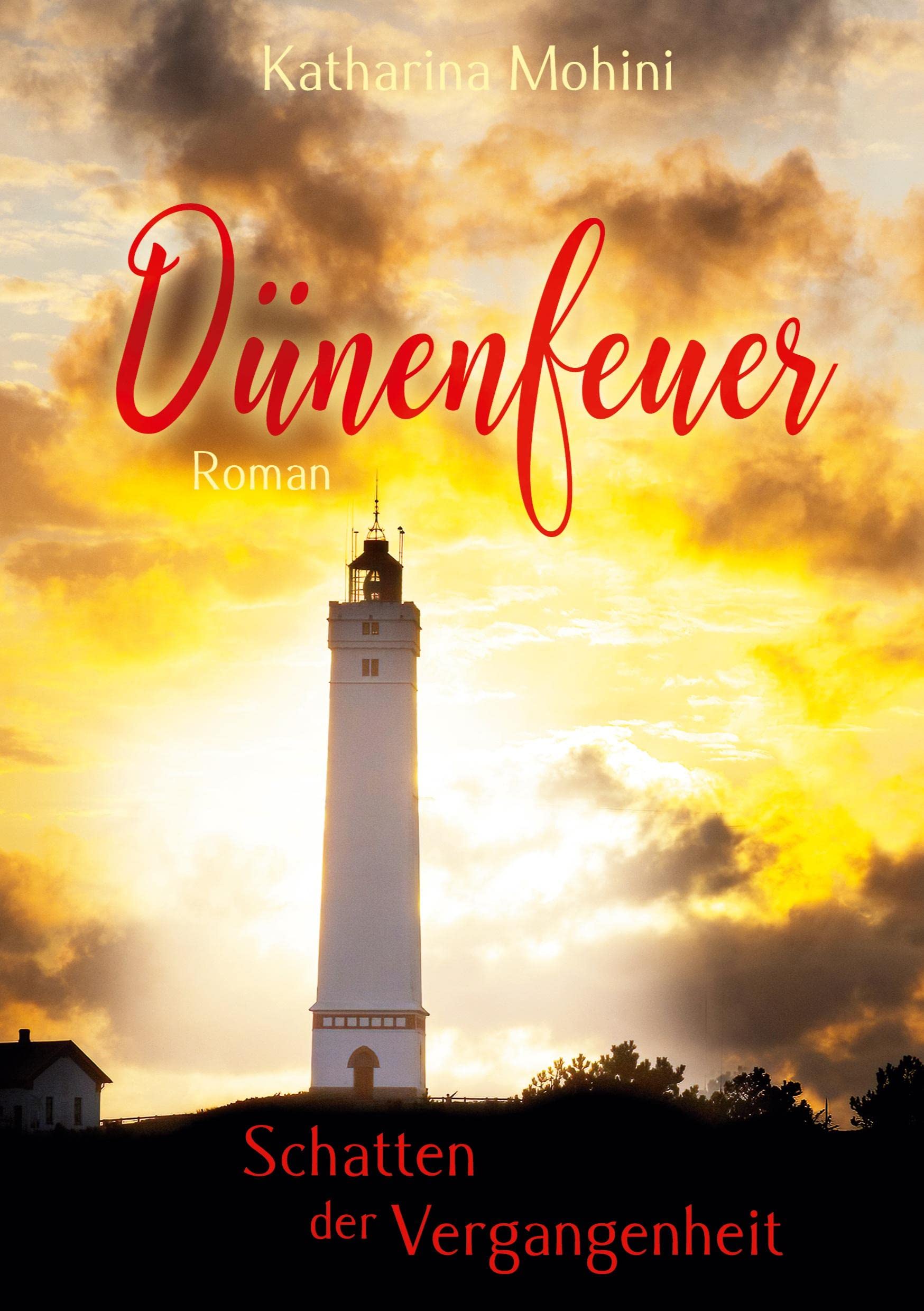 Dünenfeuer - Schatten der Vergangenheit Contemporary literature