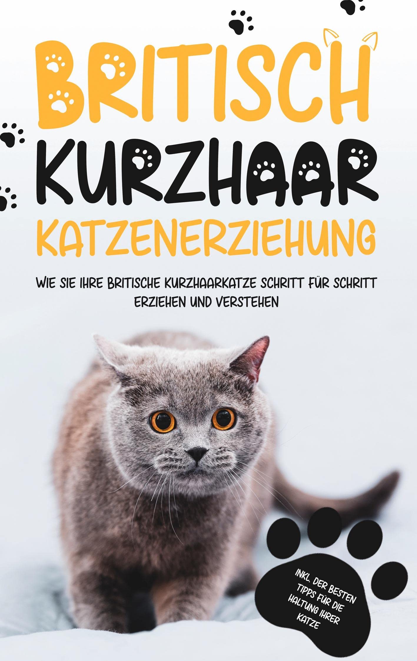 Britisch Kurzhaar Katzenerziehung: Wie Sie Ihre britische Kurzhaarkatze Schritt für Schritt erziehen und verstehen - inkl. der besten Tipps für die Haltung Ihrer Katze Pets