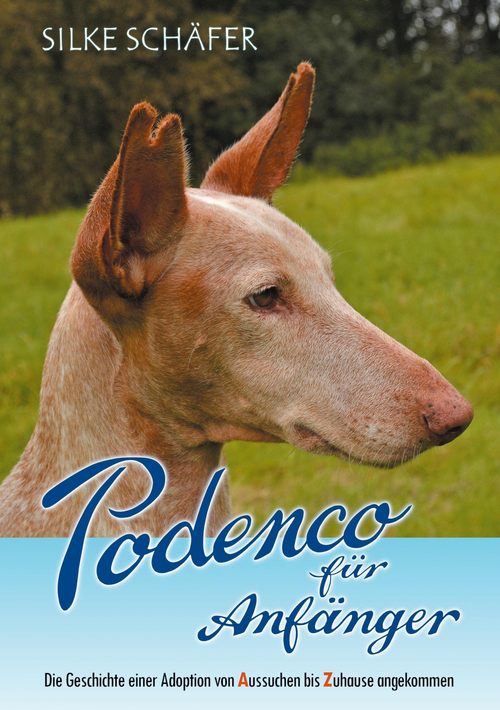 Podenco für Anfänger: Die Geschichte einer Adoption von Aussuchen bis Zuhause angekommen Pets