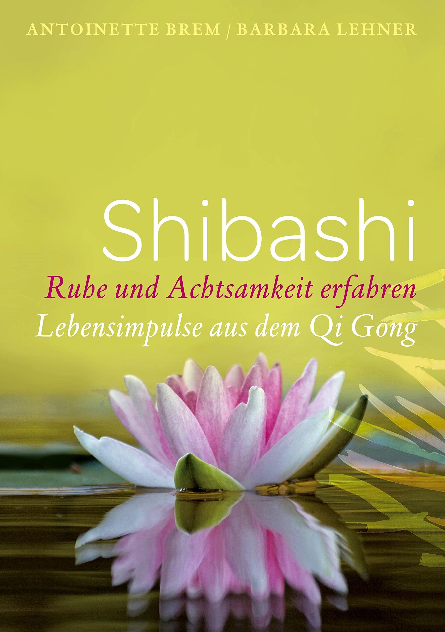 Shibashi - Ruhe und Achtsamkeit erfahren: Lebensimpulse aus dem Qi Gong Health, Nutrition & Fitness