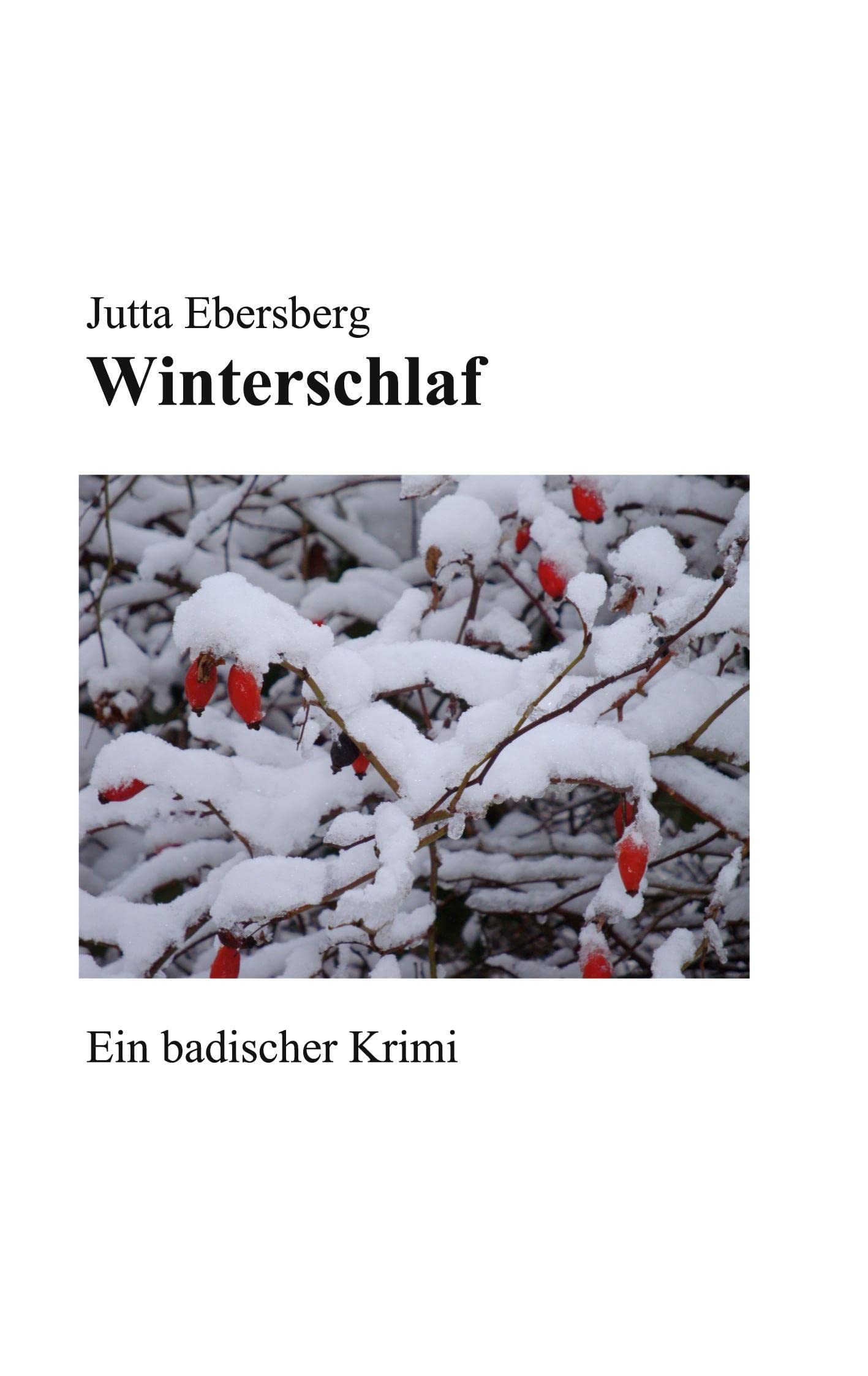 Winterschlaf Contemporary literature Books
