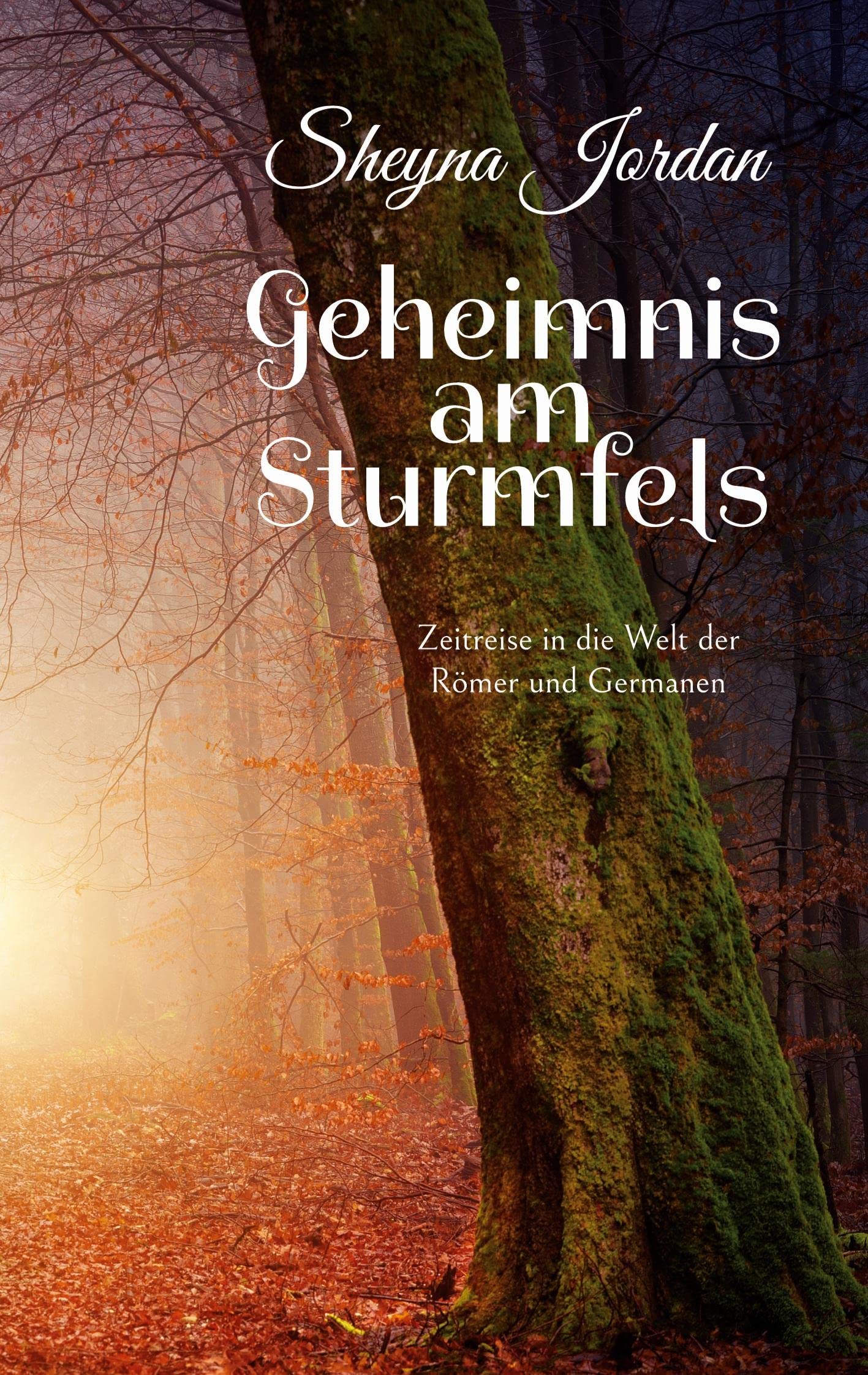 Geheimnis am Sturmfels Contemporary literature