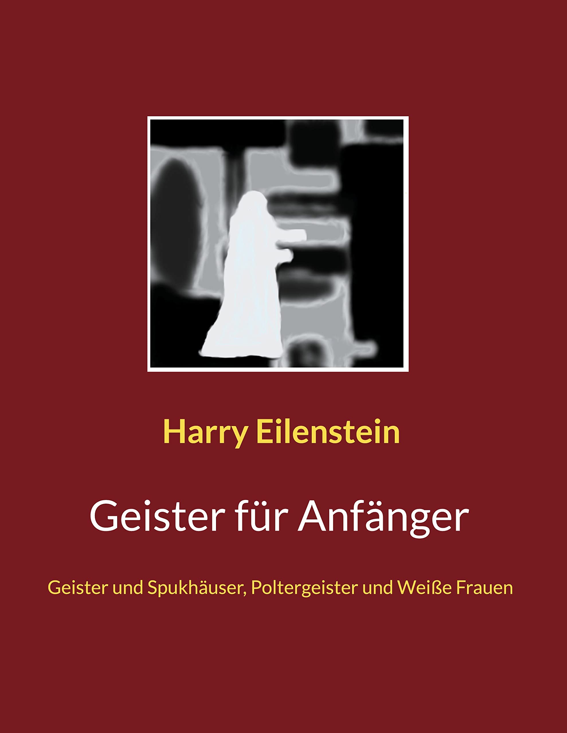 Geister für Anfänger Religion & Esotericism