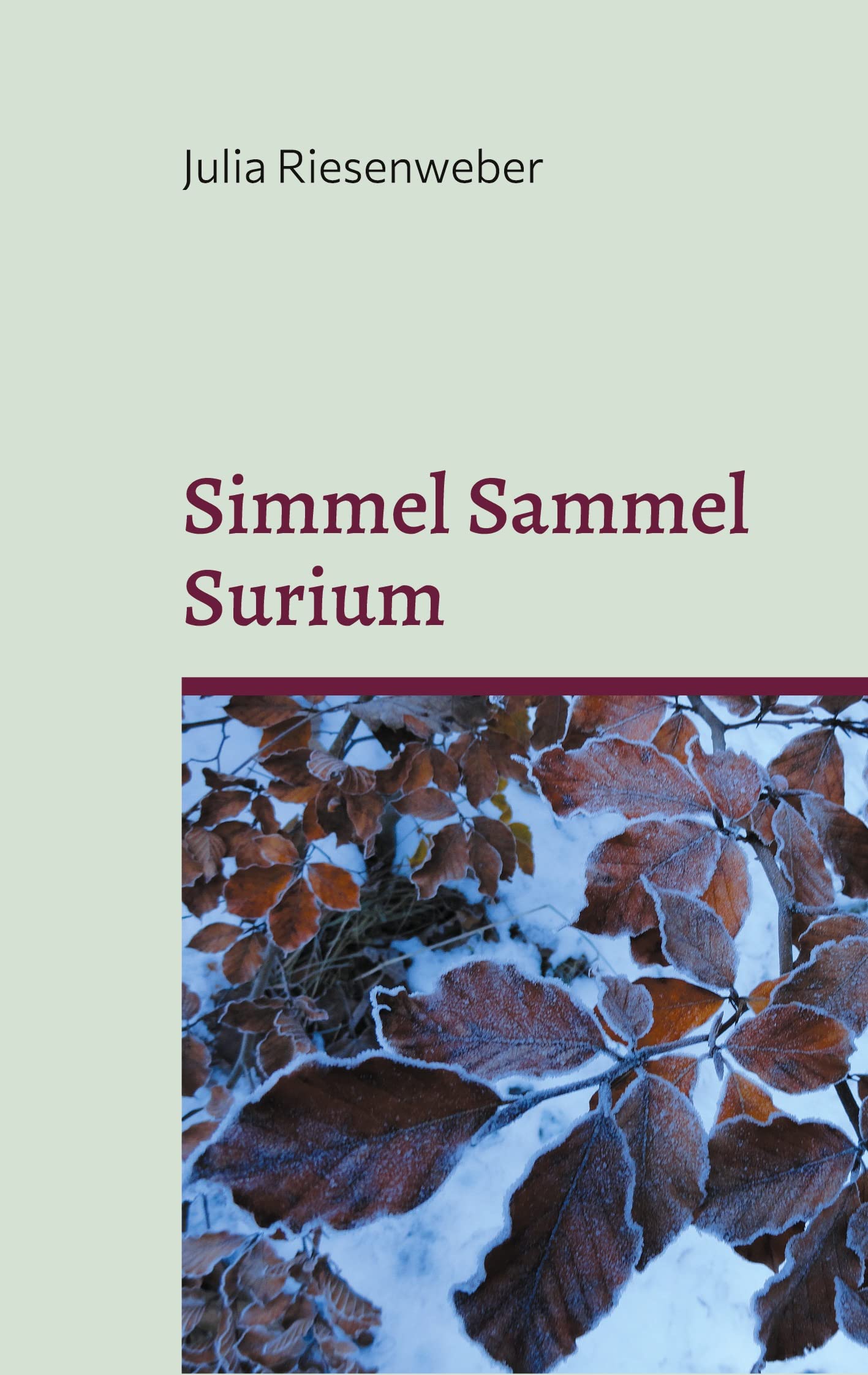 Simmel Sammel Surium: Einfühlsame Kurzgeschichten für kleine und große Leseratten Novels & Short Stories