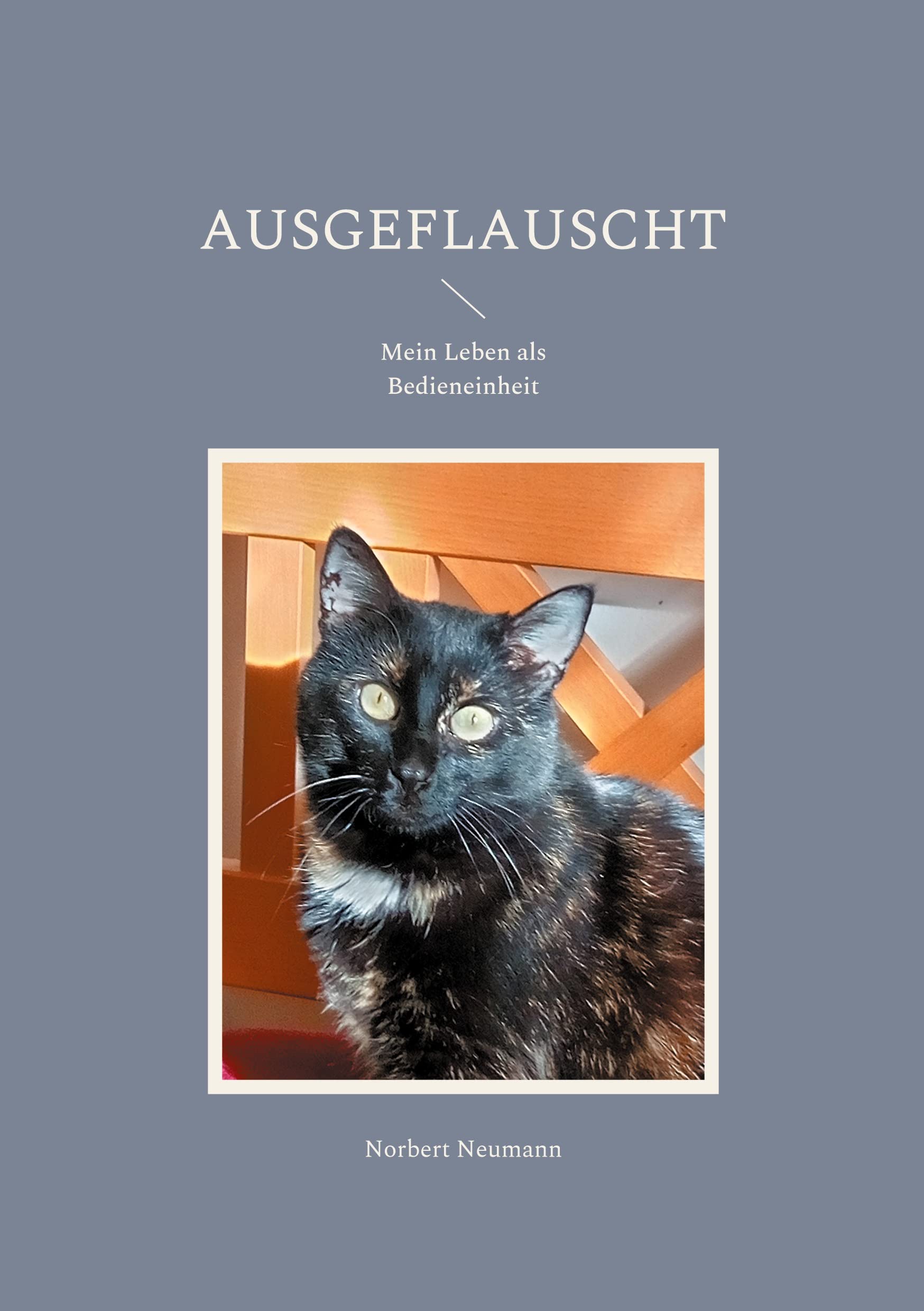 Ausgeflauscht: Mein Leben als Bedieneinheit Humour & Satire