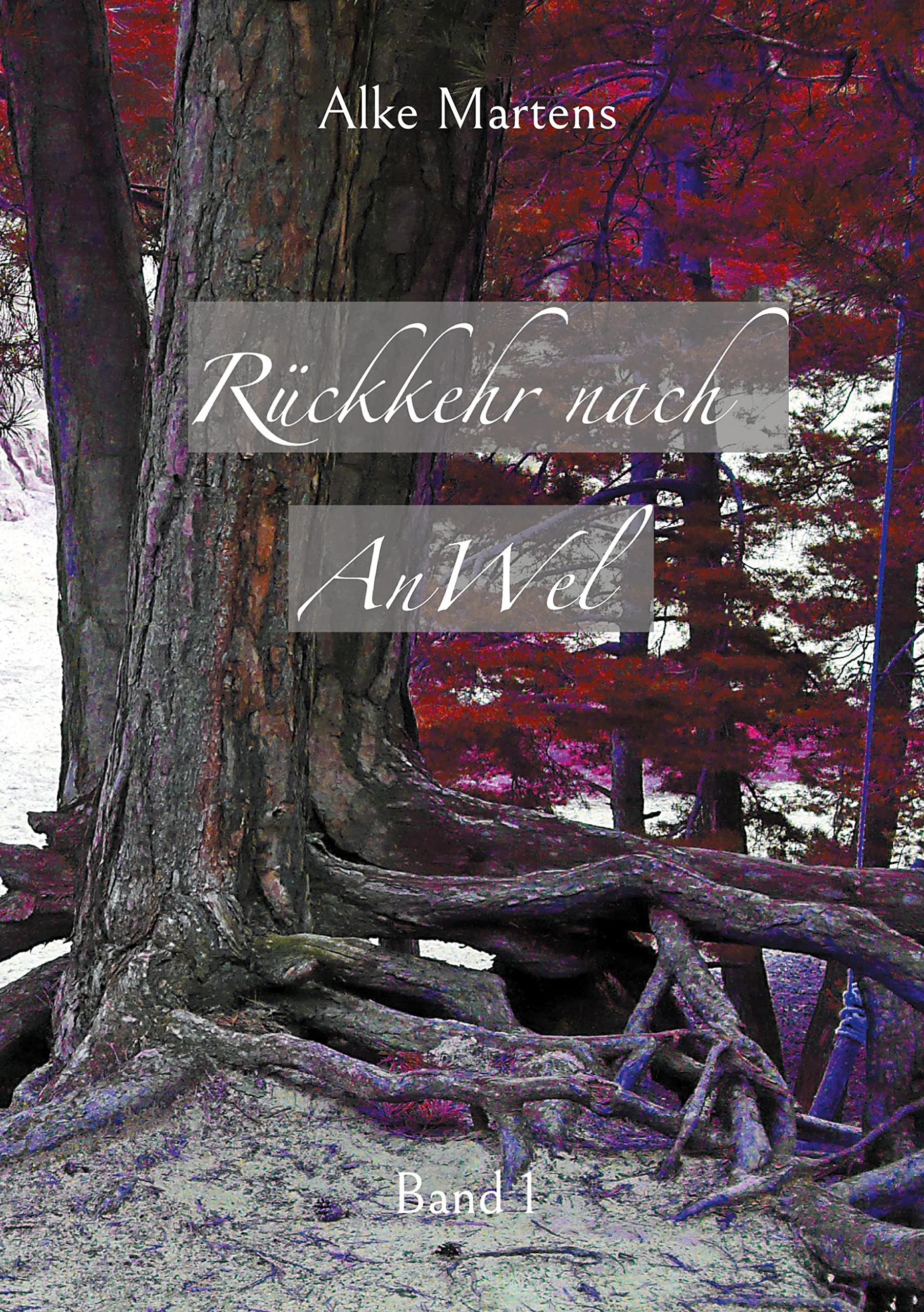 Rückkehr nach AnWel Historical Fiction