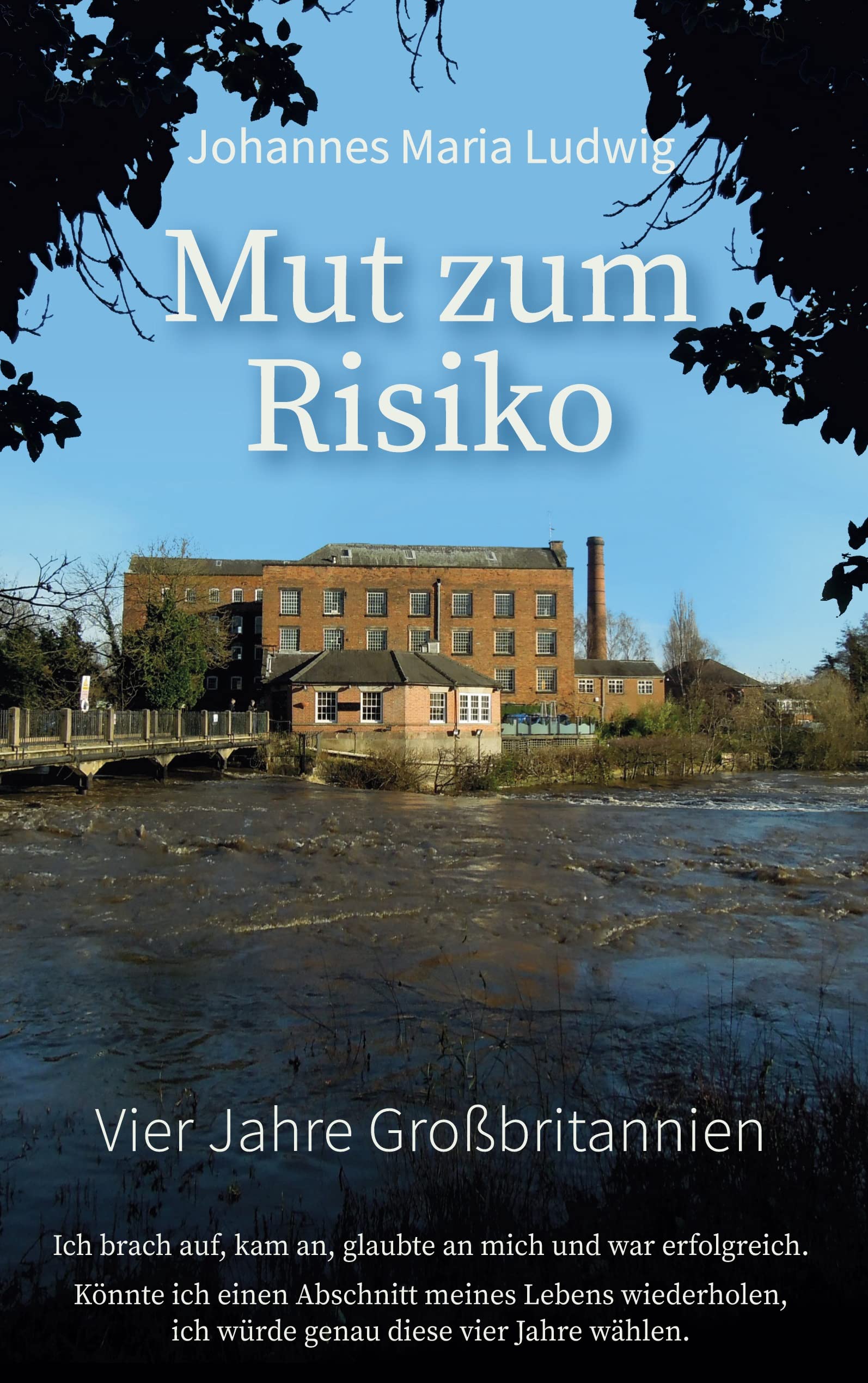 Mut zum Risiko book