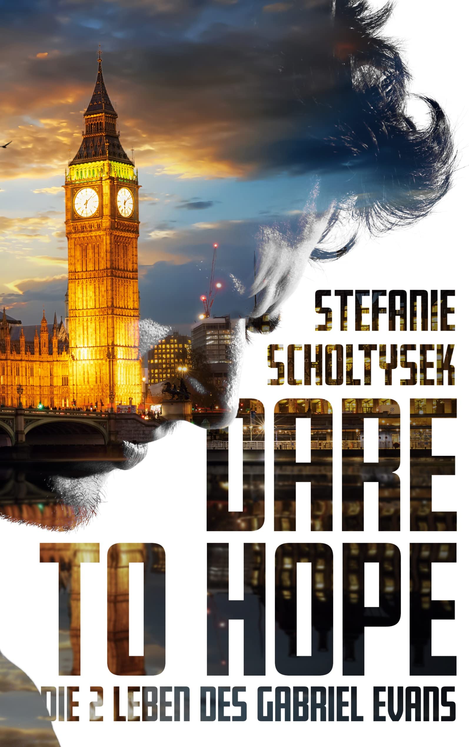 Dare to hope: Die zwei Leben des Gabriel Evans Contemporary literature