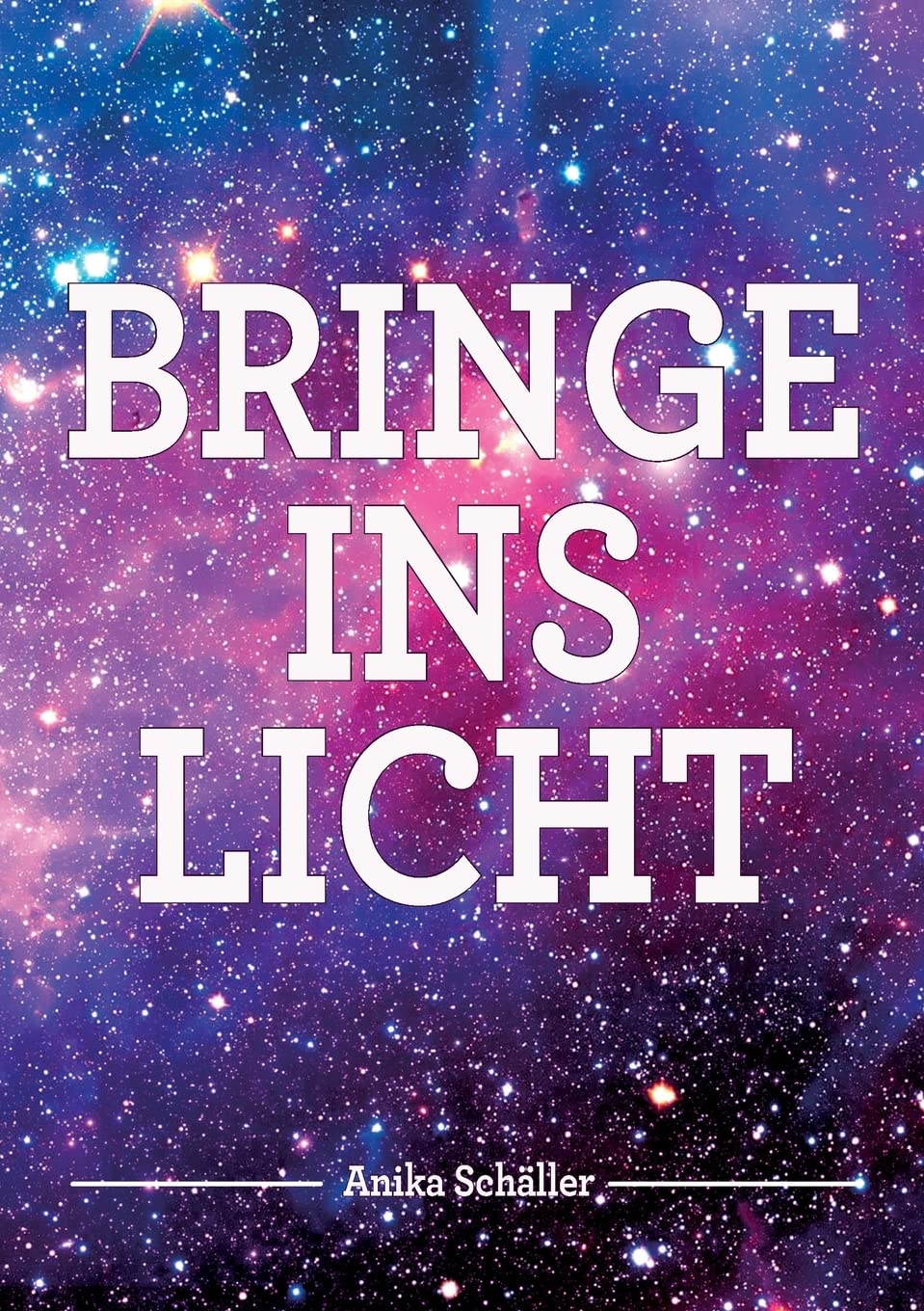 Bringe ins Licht Contemporary literature Books