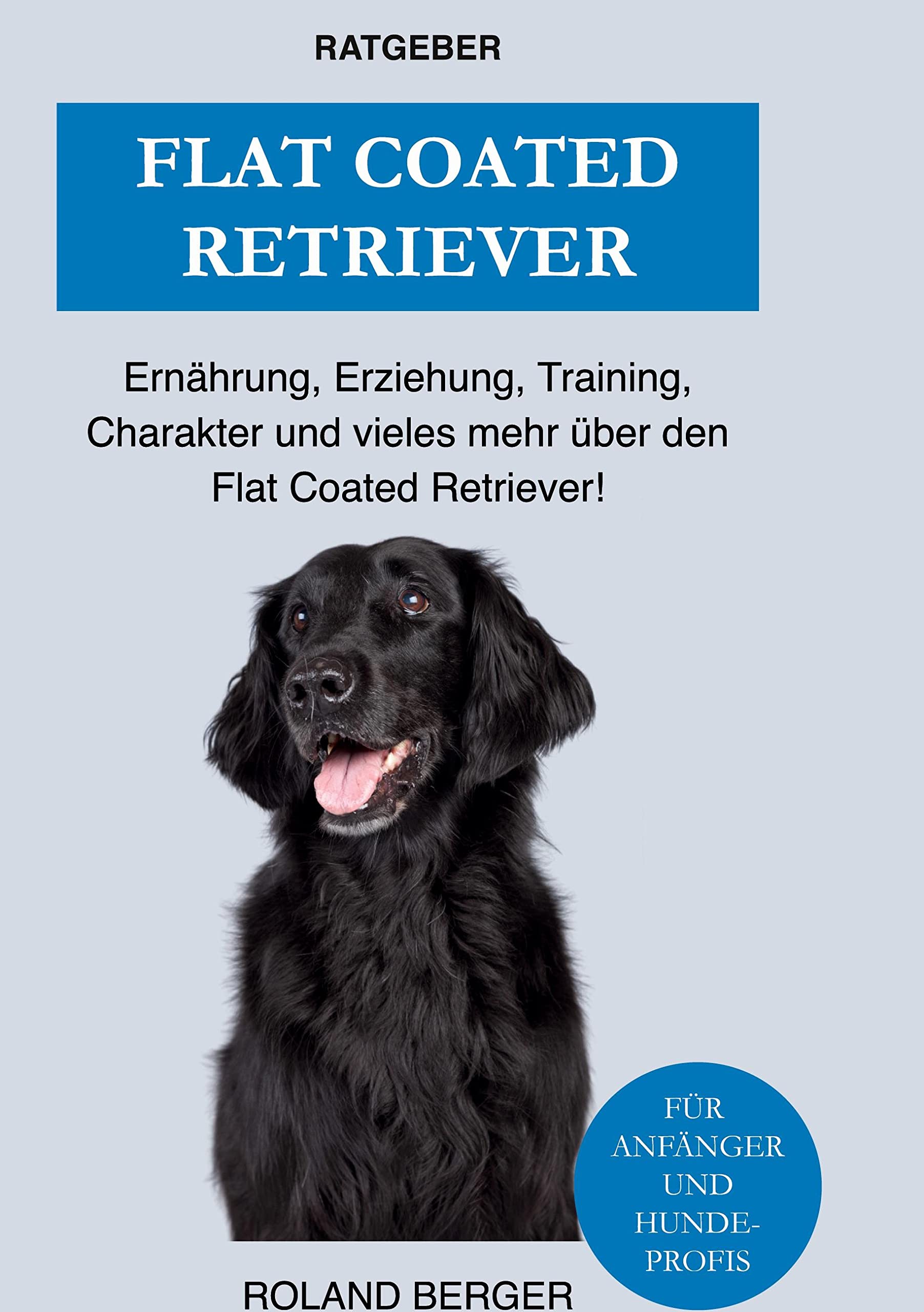 Product Image: Flat Coated Retriever