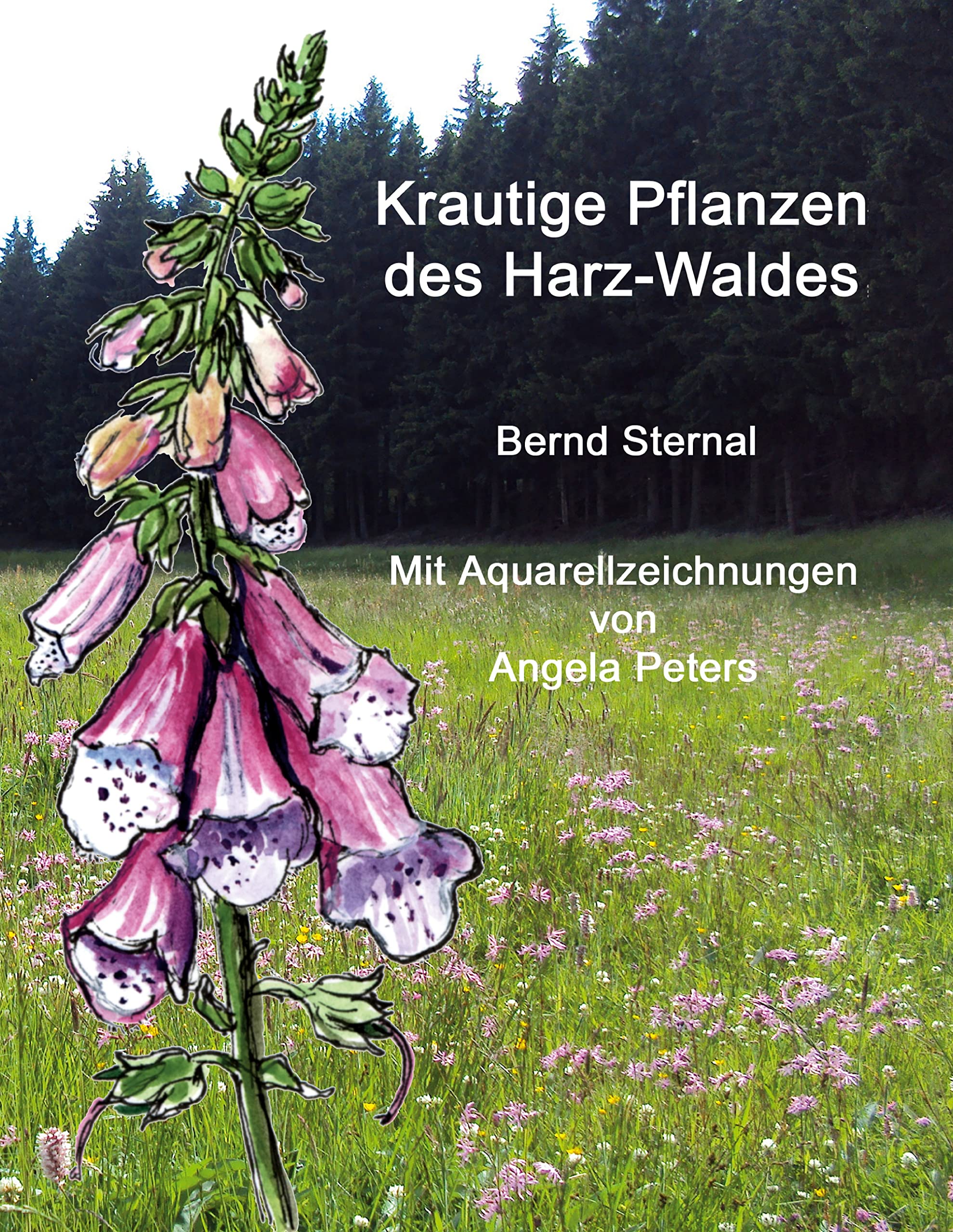 Krautige Pflanzen des Harz-Waldes: Mit Aquarellzeichnungen von Angela Peters Mathematics