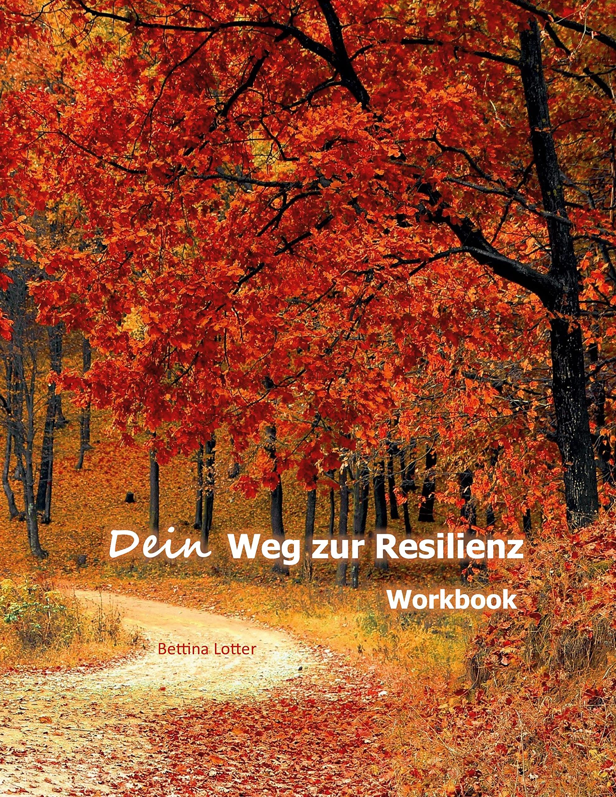 Dein Weg zur Resilienz Books