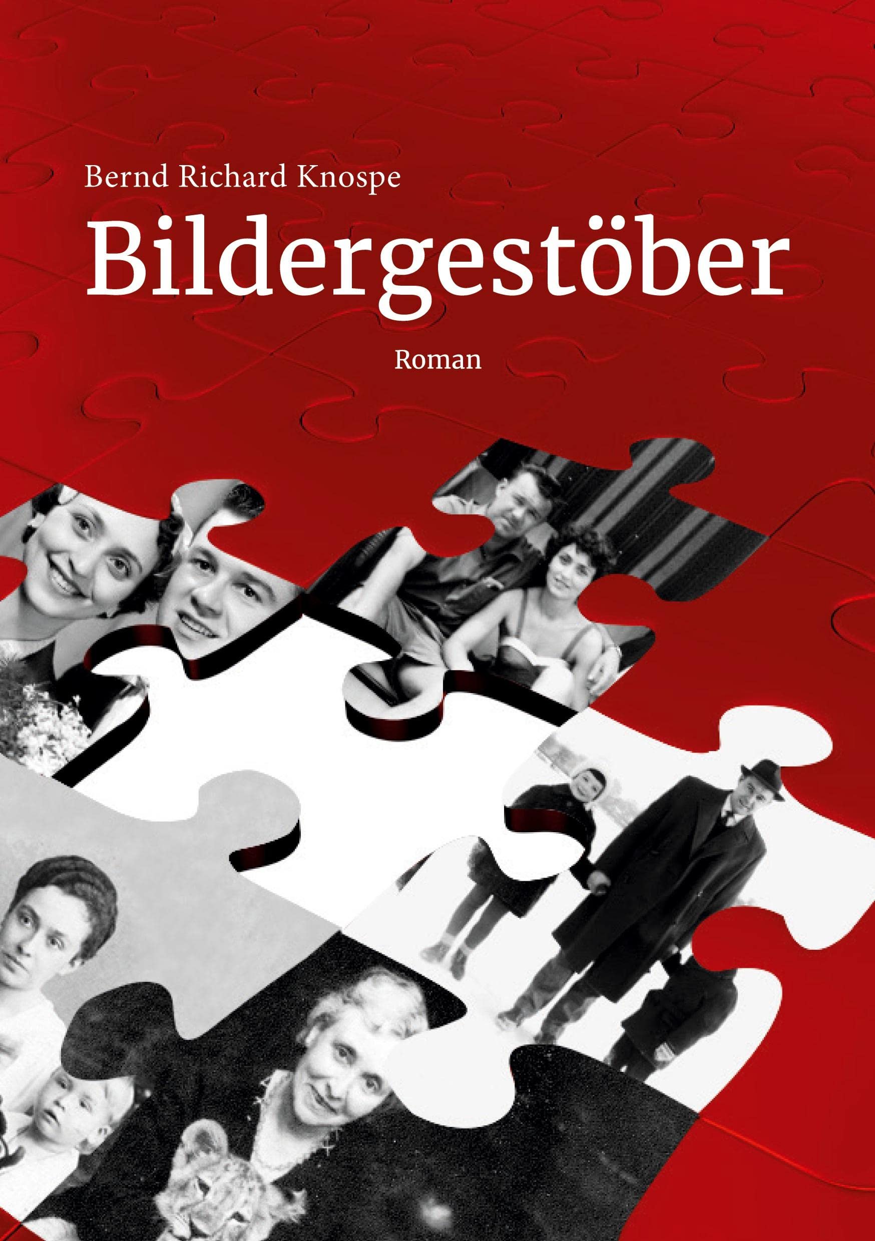 Bildergestöber Contemporary literature