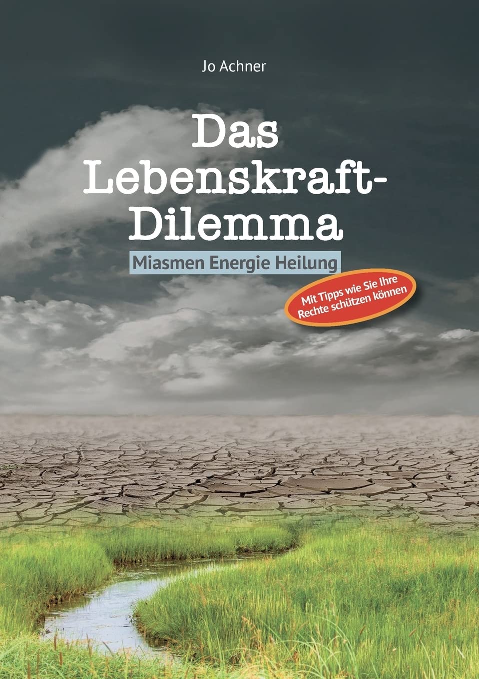 Das Lebenskraft-Dilemma: Miasmen Energie Heilung Medicine