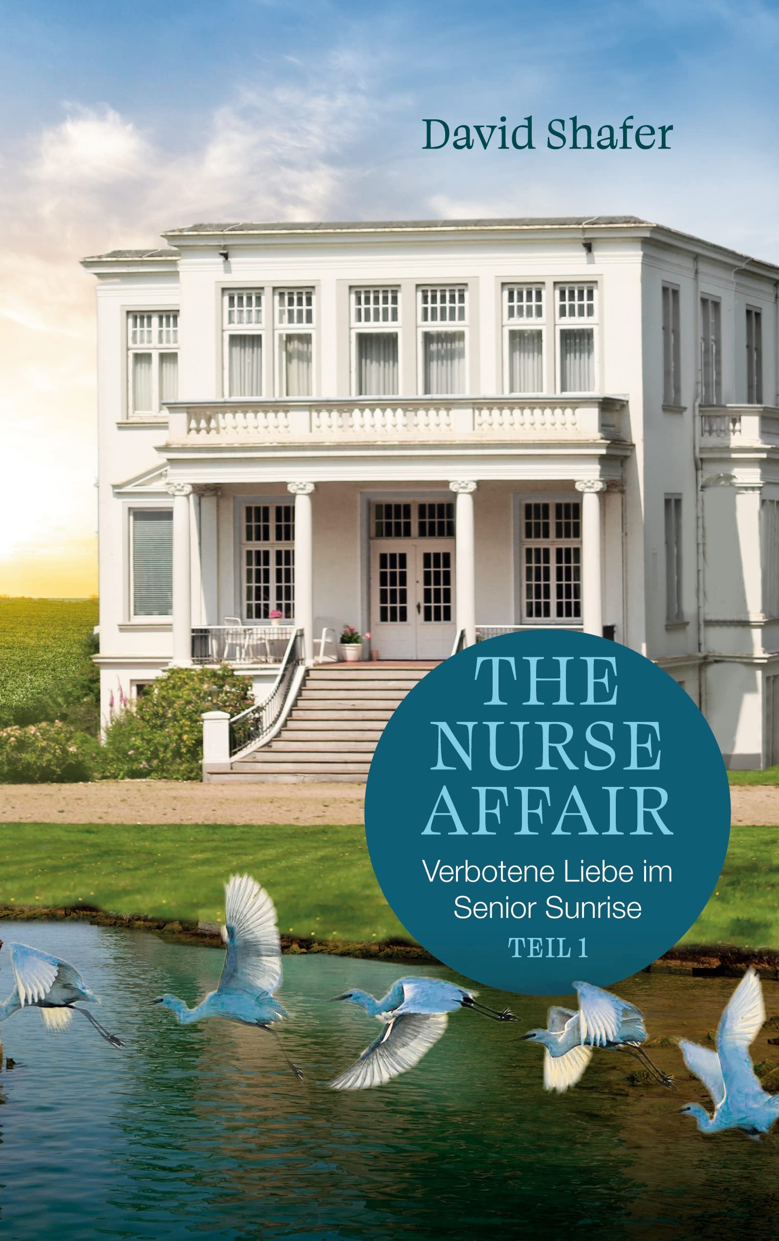 Product Image: The Nurse Affair