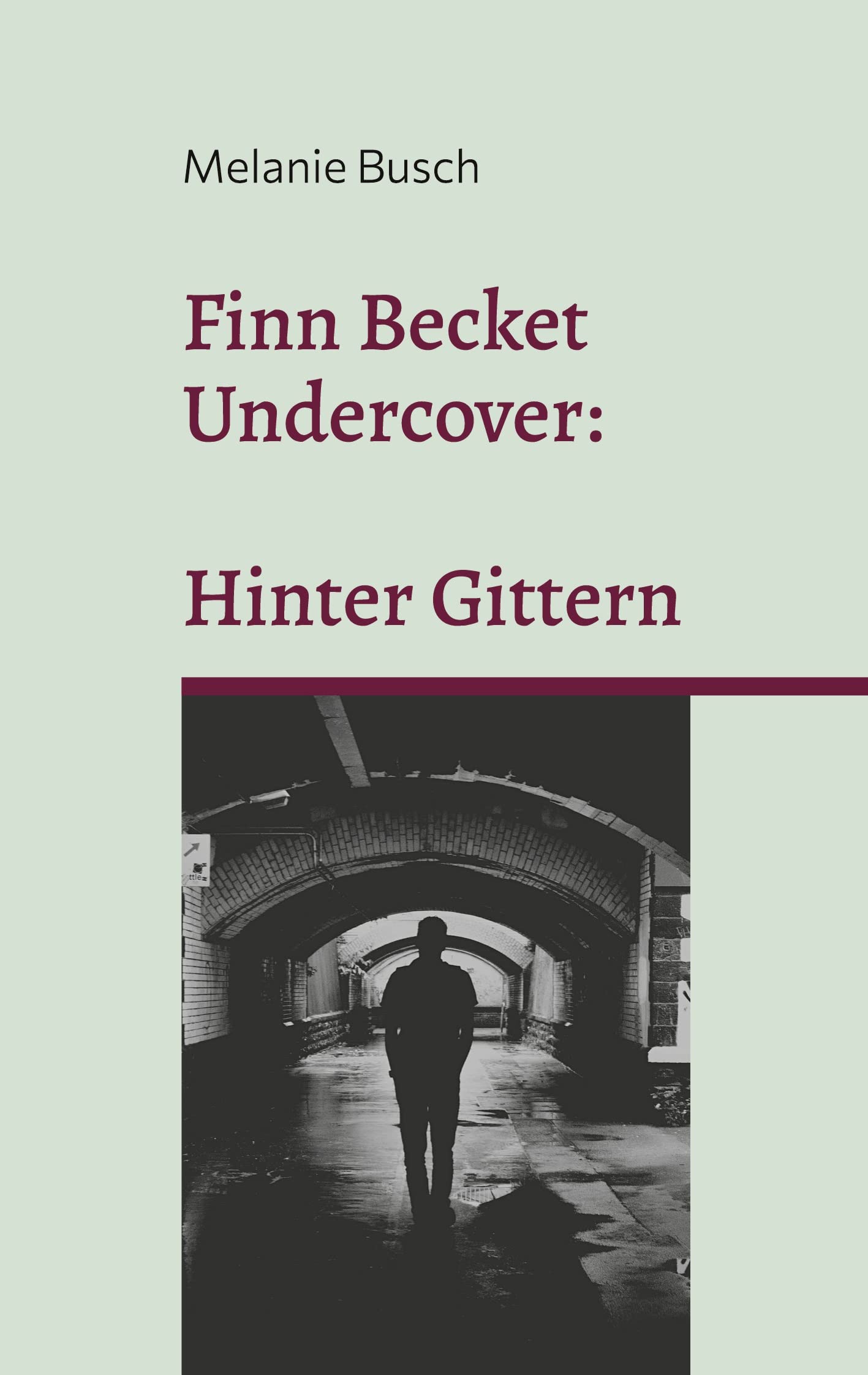 Finn Becket Undercover: book