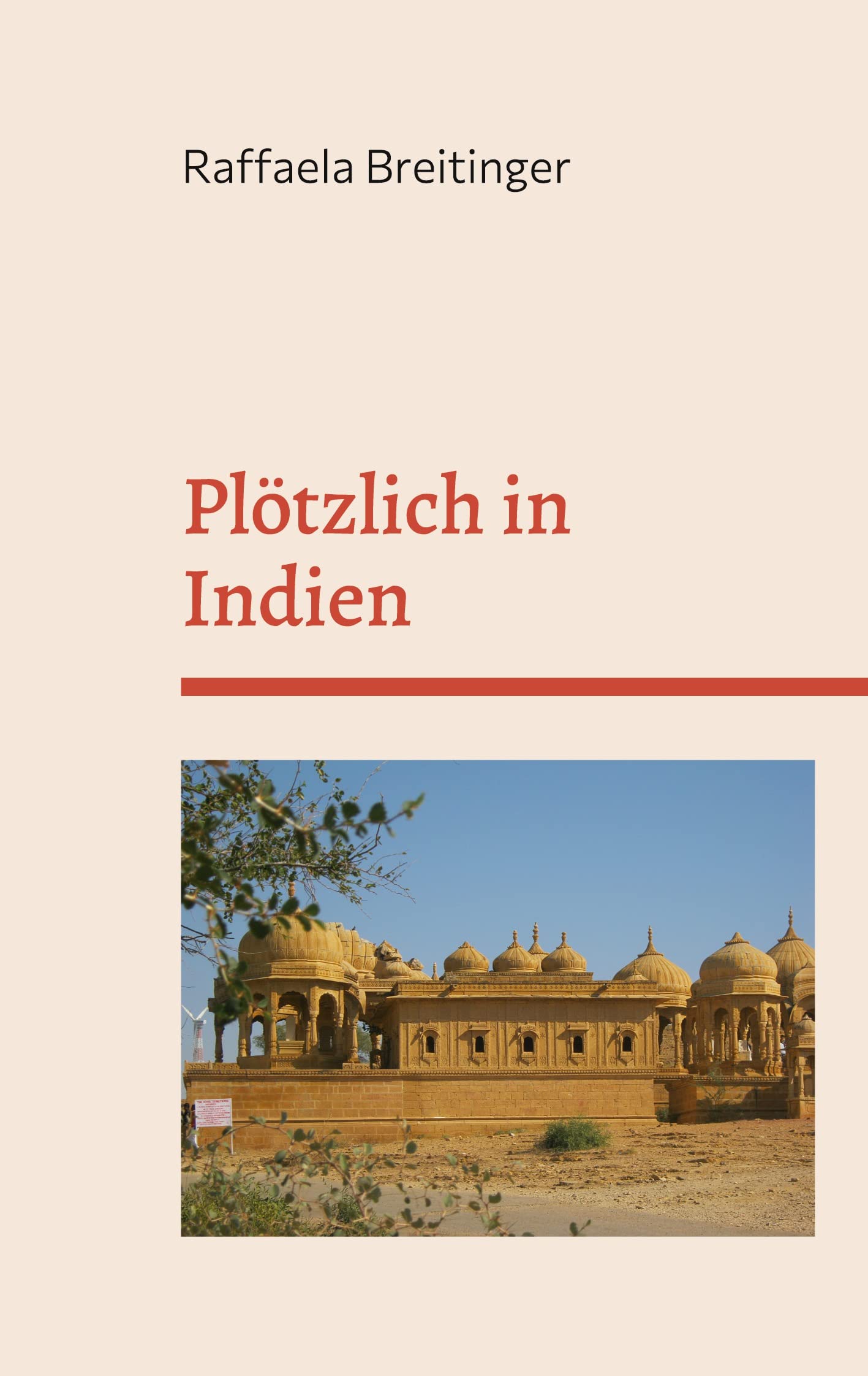 Plötzlich in Indien: Reisetagebuch Leisure, Home & Garden
