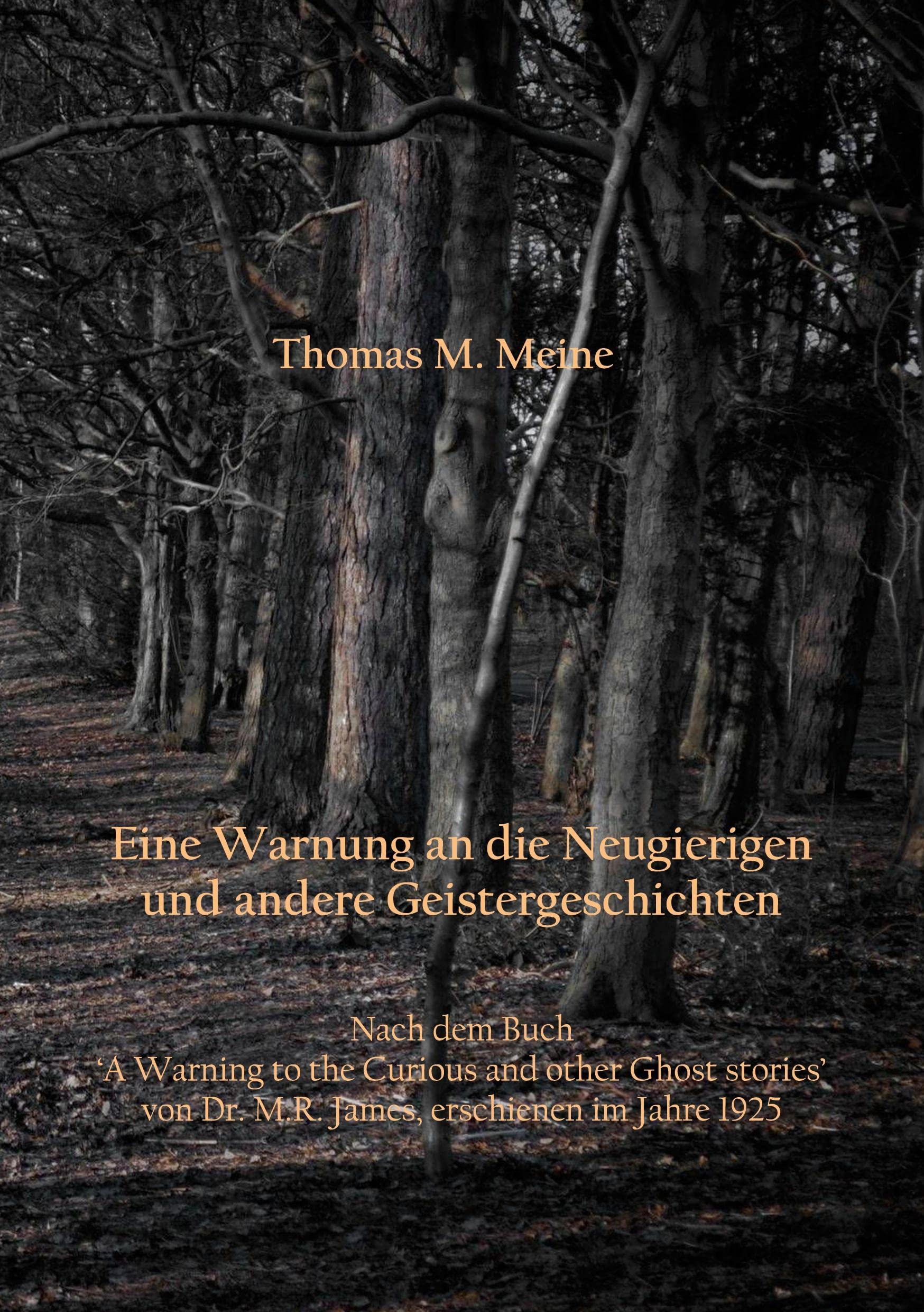 Eine Warnung an die Neugierigen und andere Geistergeschichten Horror & Mystery