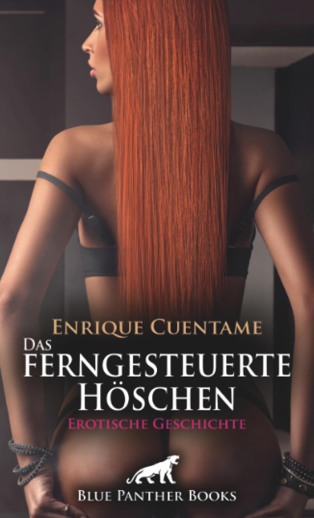 Das ferngesteuerte Höschen | Erotische Geschichte + 3 weitere Geschichten: In einem Zustand der Dauergeilheit ... (Love, Passion & Sex) Calendars