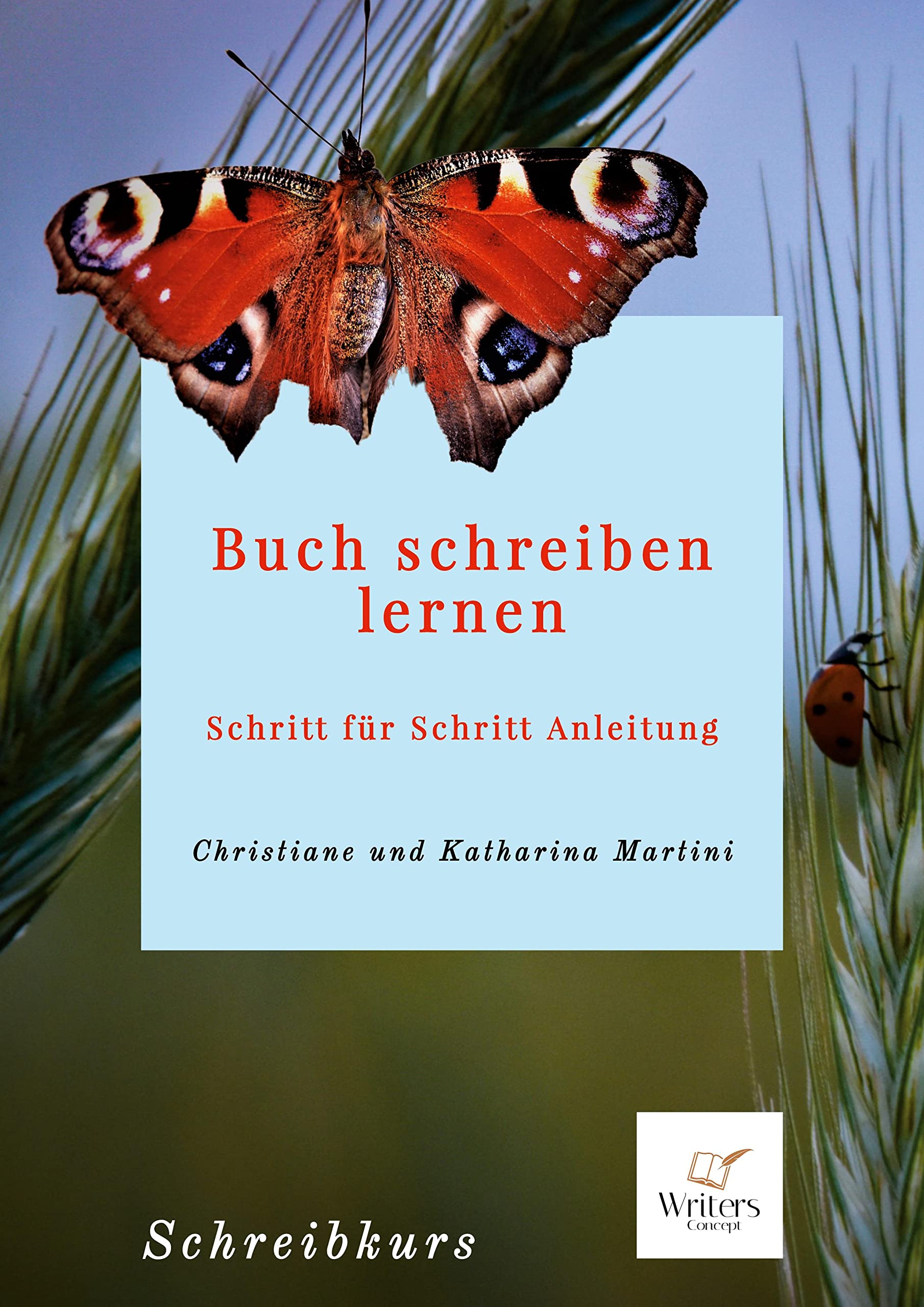 Buch schreiben lernen: Schritt für Schritt Anleitung Business, Finance & Career