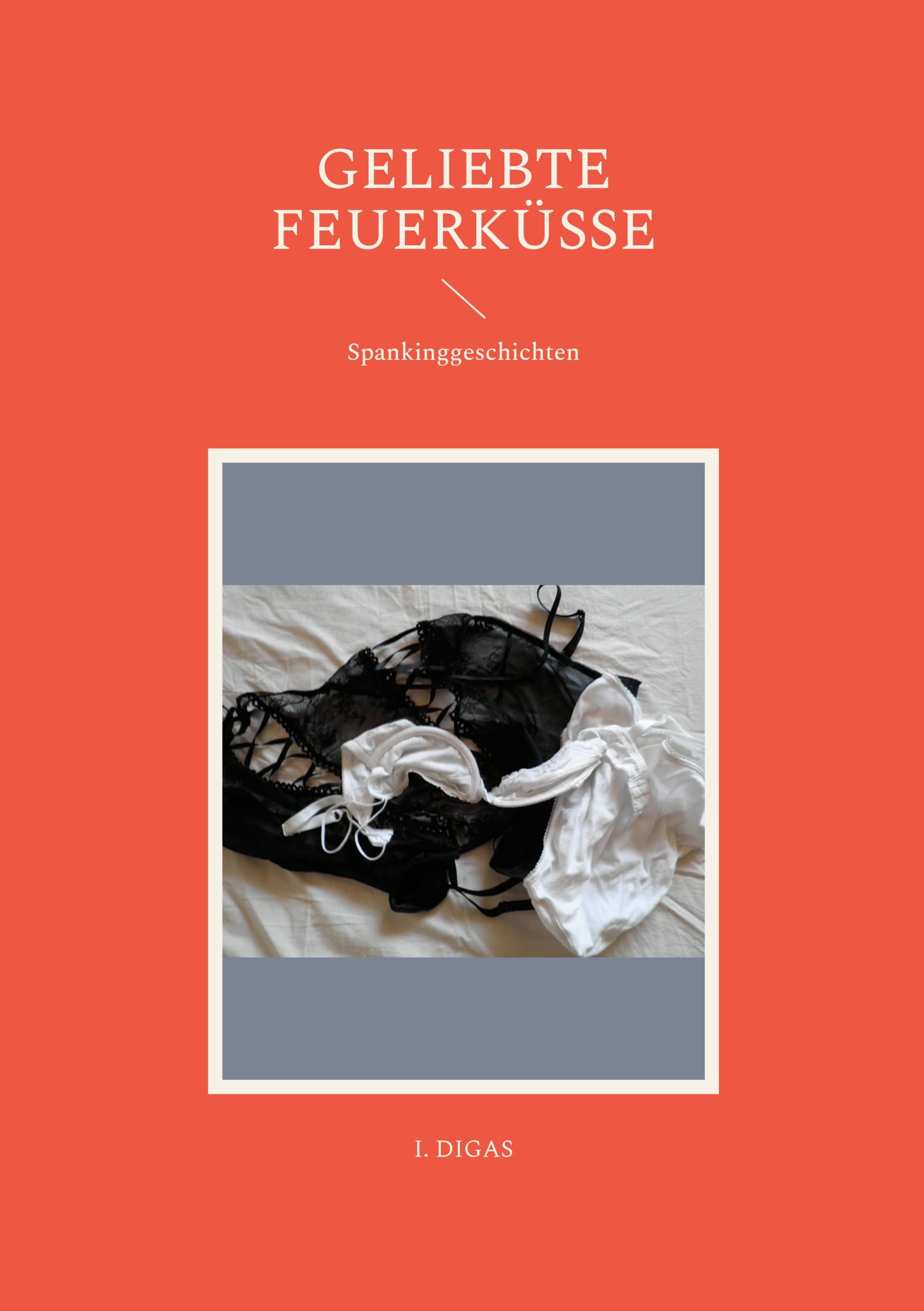 Geliebte Feuerküsse: Spankinggeschichten Contemporary literature