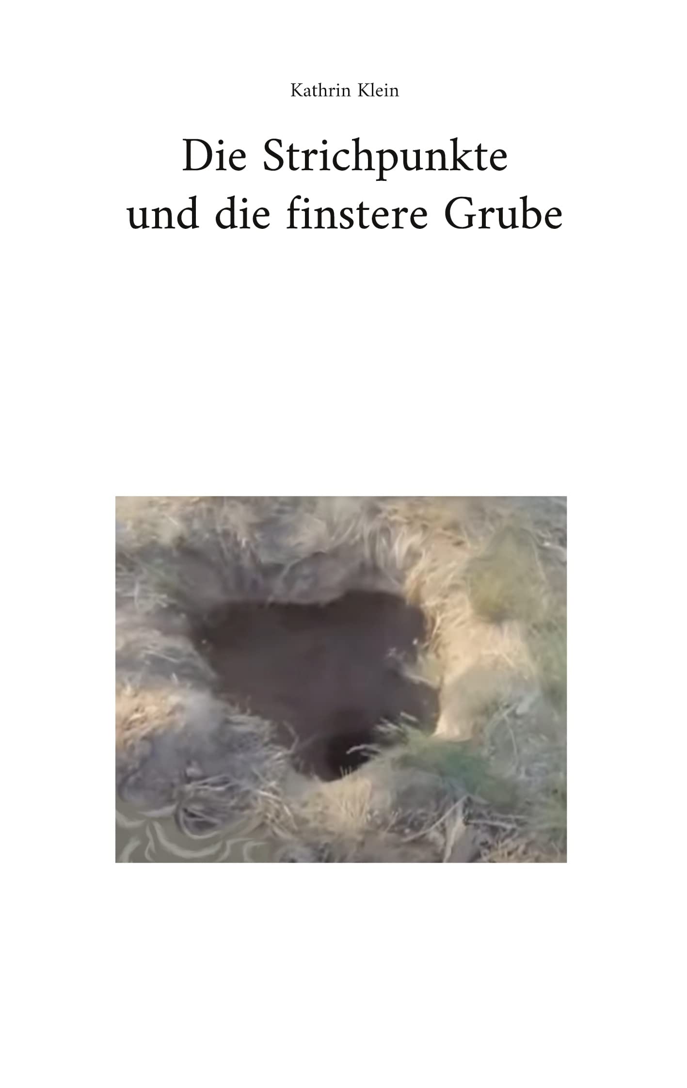 Die Strichpunkte und die finstere Grube Novels & Short Stories