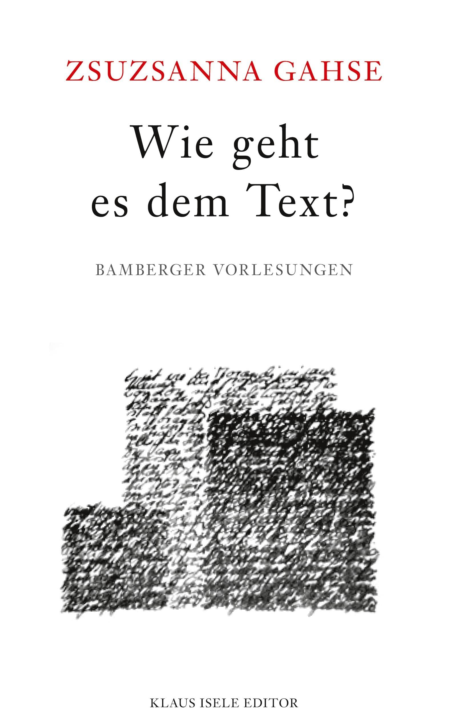 Wie geht es dem Text?: Bamberger Vorlesungen Contemporary literature