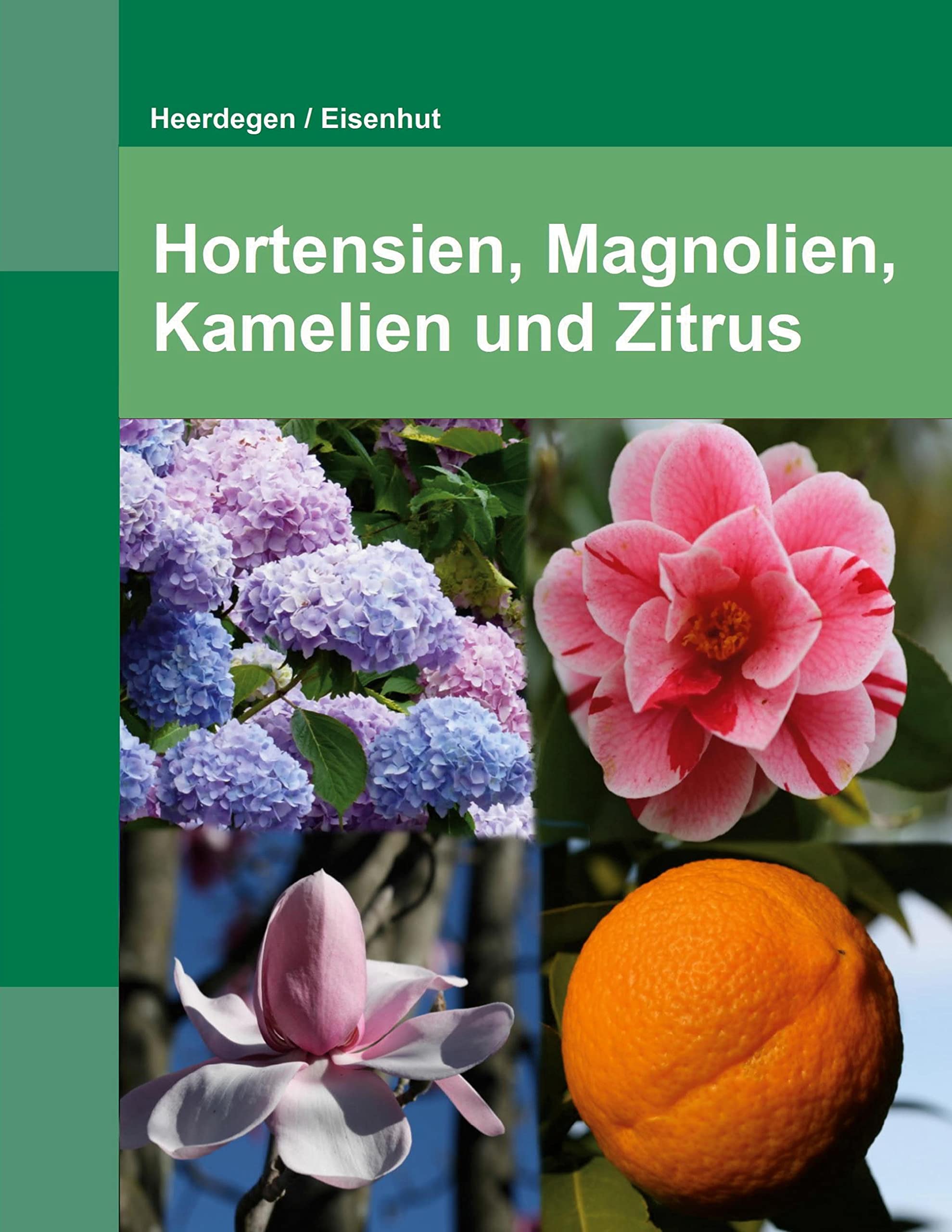 Hortensien, Kamelien, Magnolien und Zitrus: Sorten, Vermehrung und Kultivierung Garden & Plants