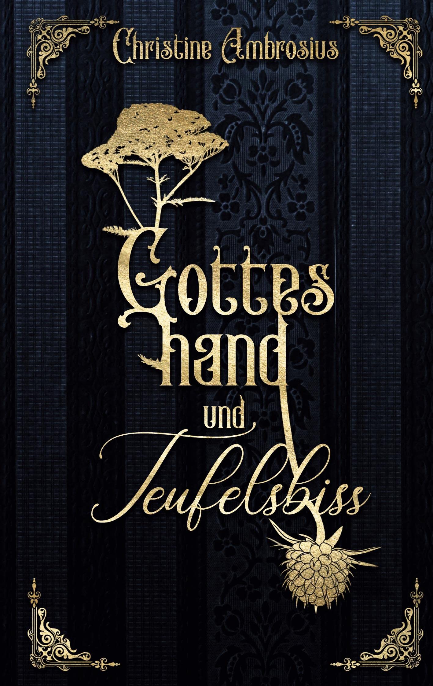 Gotteshand und Teufelsbiss Historical Fiction