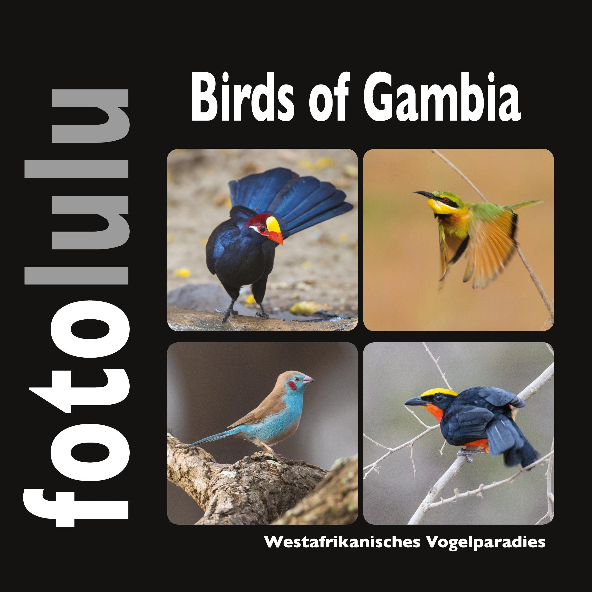 Birds of Gambia: Westafrikanisches Vogelparadies Architecture