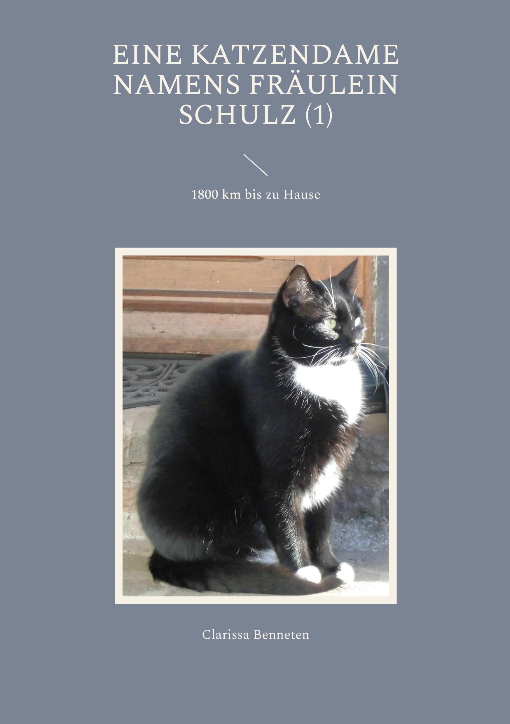Eine Katzendame namens Fräulein Schulz: 1800 km bis zu Hause Contemporary literature