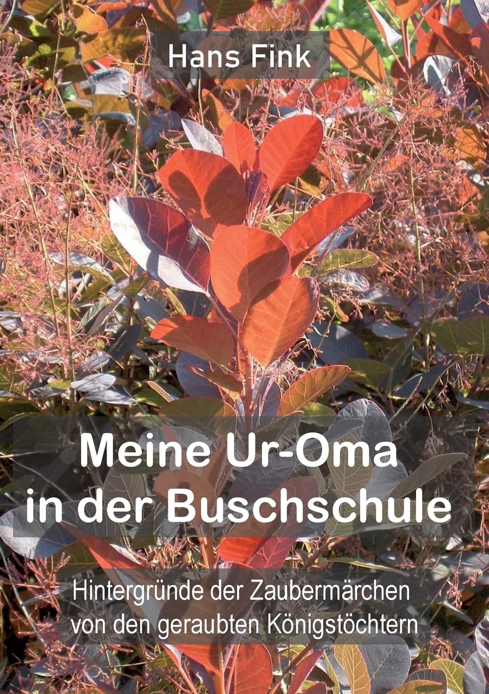 Meine Ur-Oma in der Buschschule Books