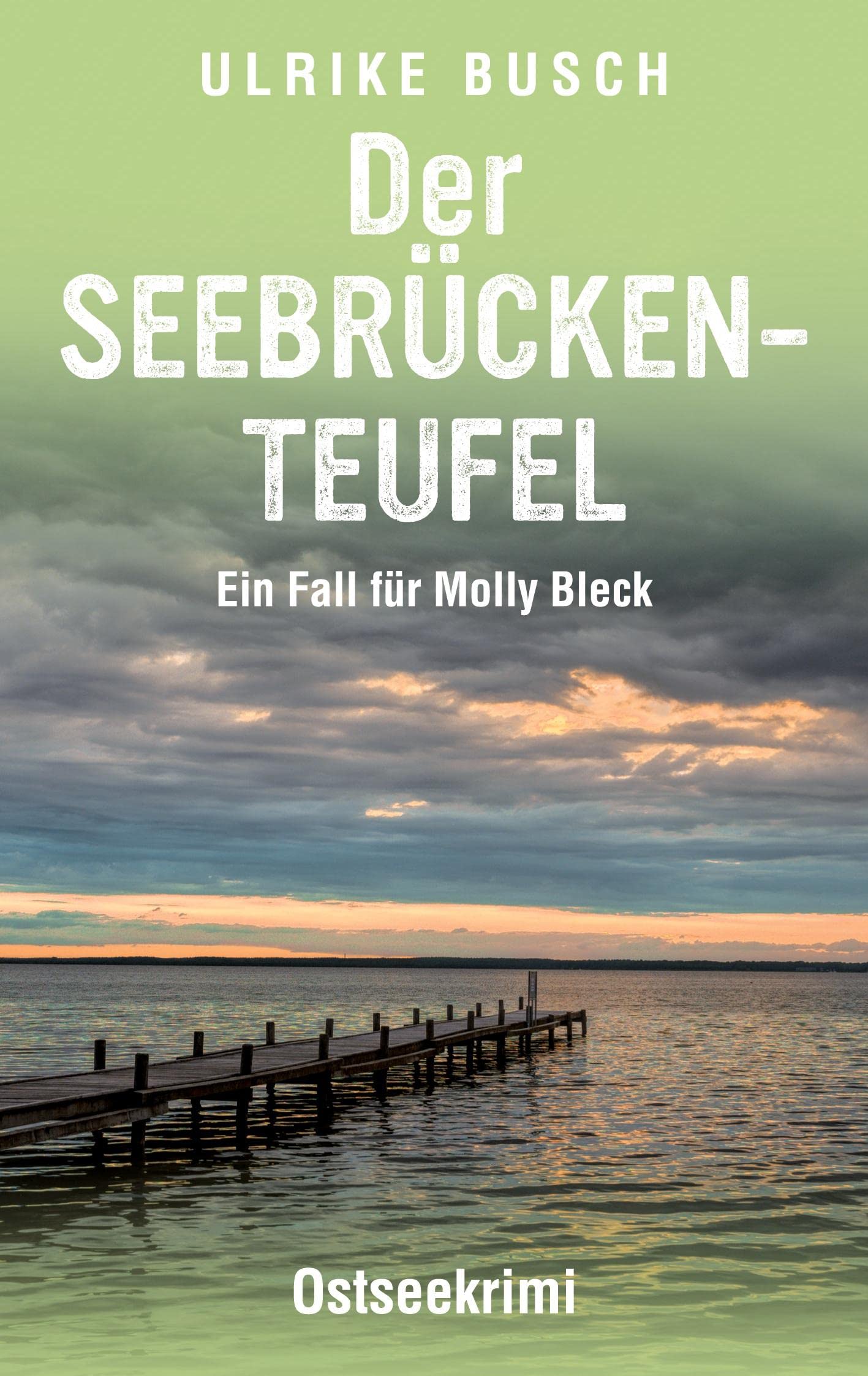Der Seebrückenteufel: Ostseekrimi (Ein Fall für Molly Bleck) Contemporary literature