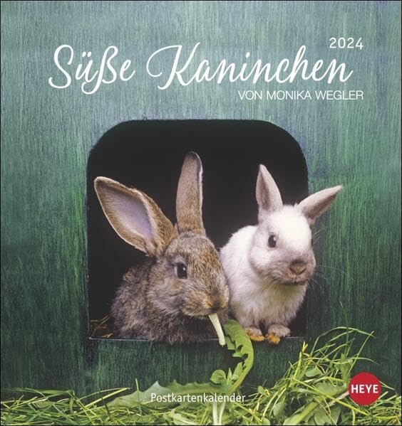 Süße Kaninchen Postkartenkalender 2024. Tierfotografin Monika Wegler setzt in einem kleinen Kalender niedliche Häschen in Szene. Tischkalender im Postkartenformat. Pets